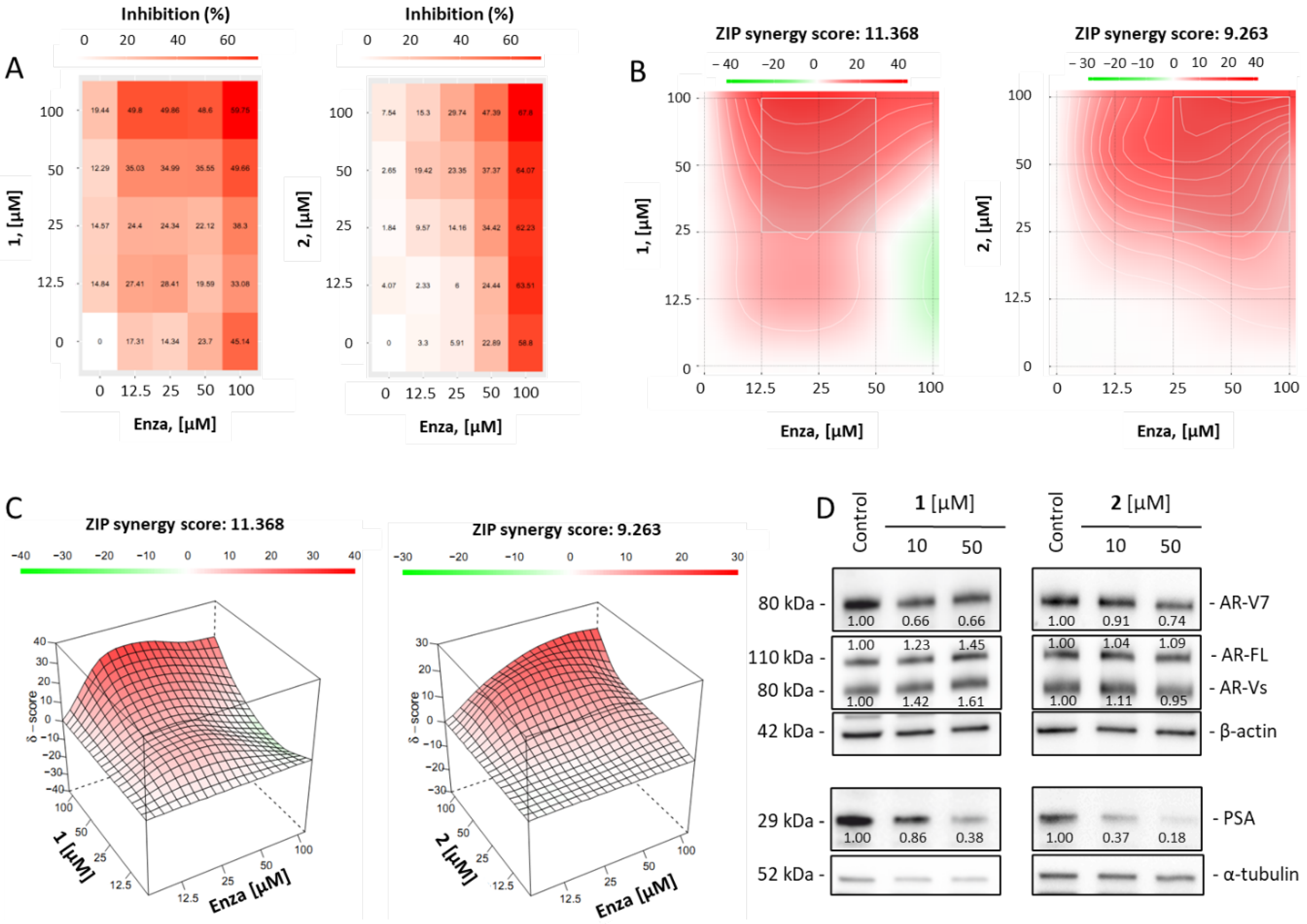Marinedrugs 21 00054 g004 Marinedrugs 21 00054 g004