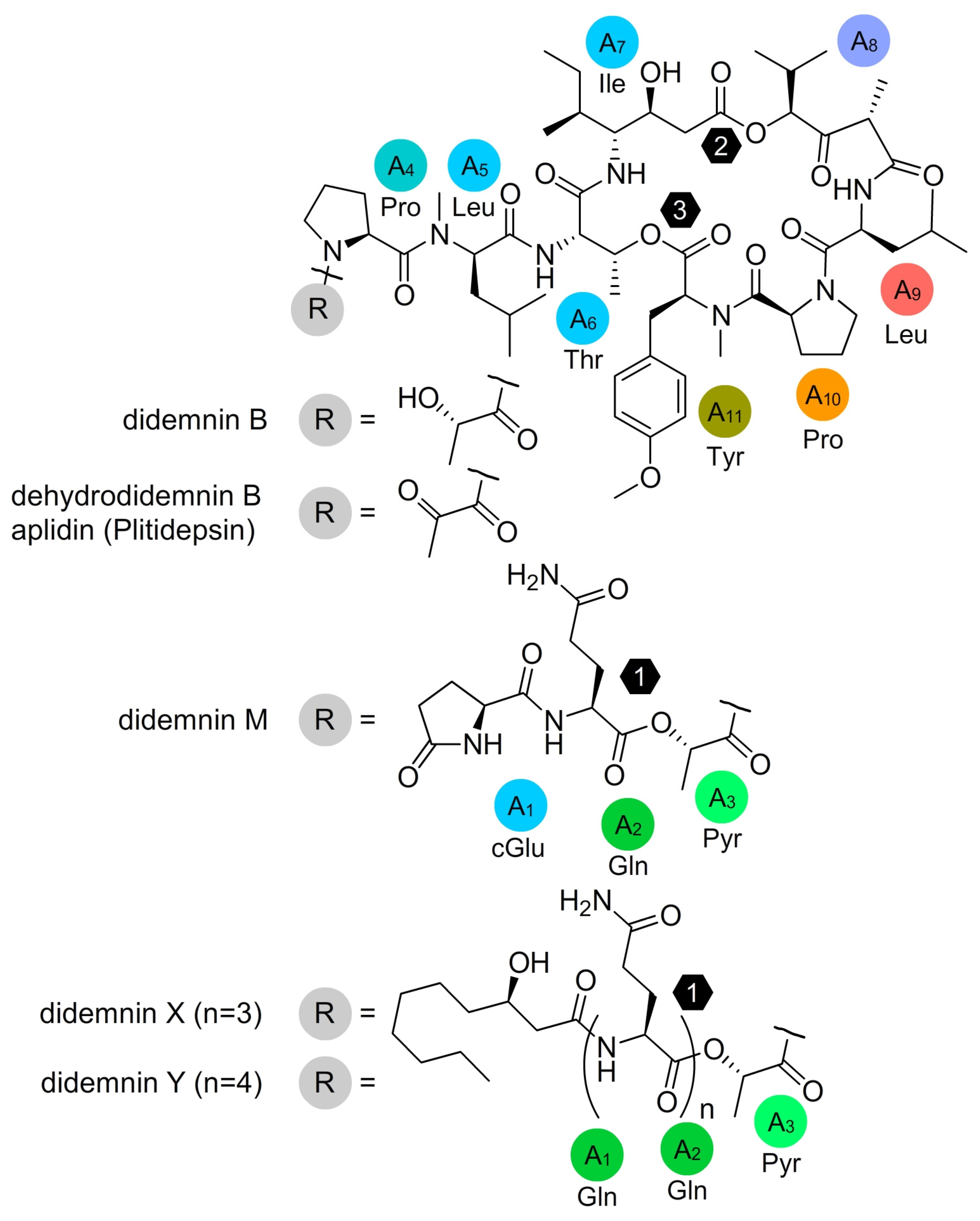Marinedrugs 21 00056 g001