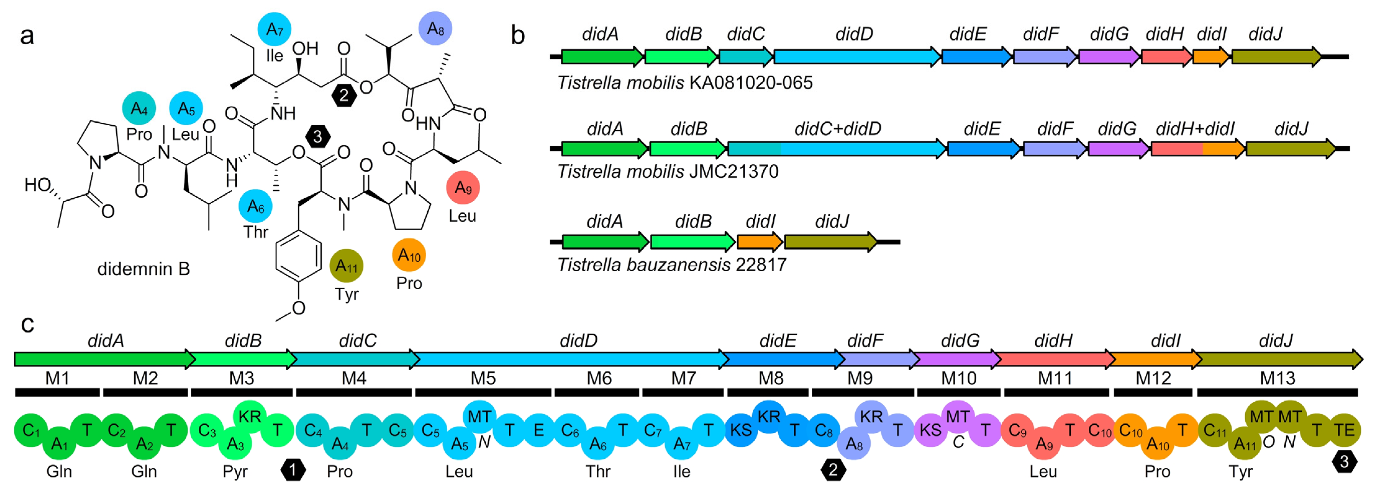 Marinedrugs 21 00056 g004
