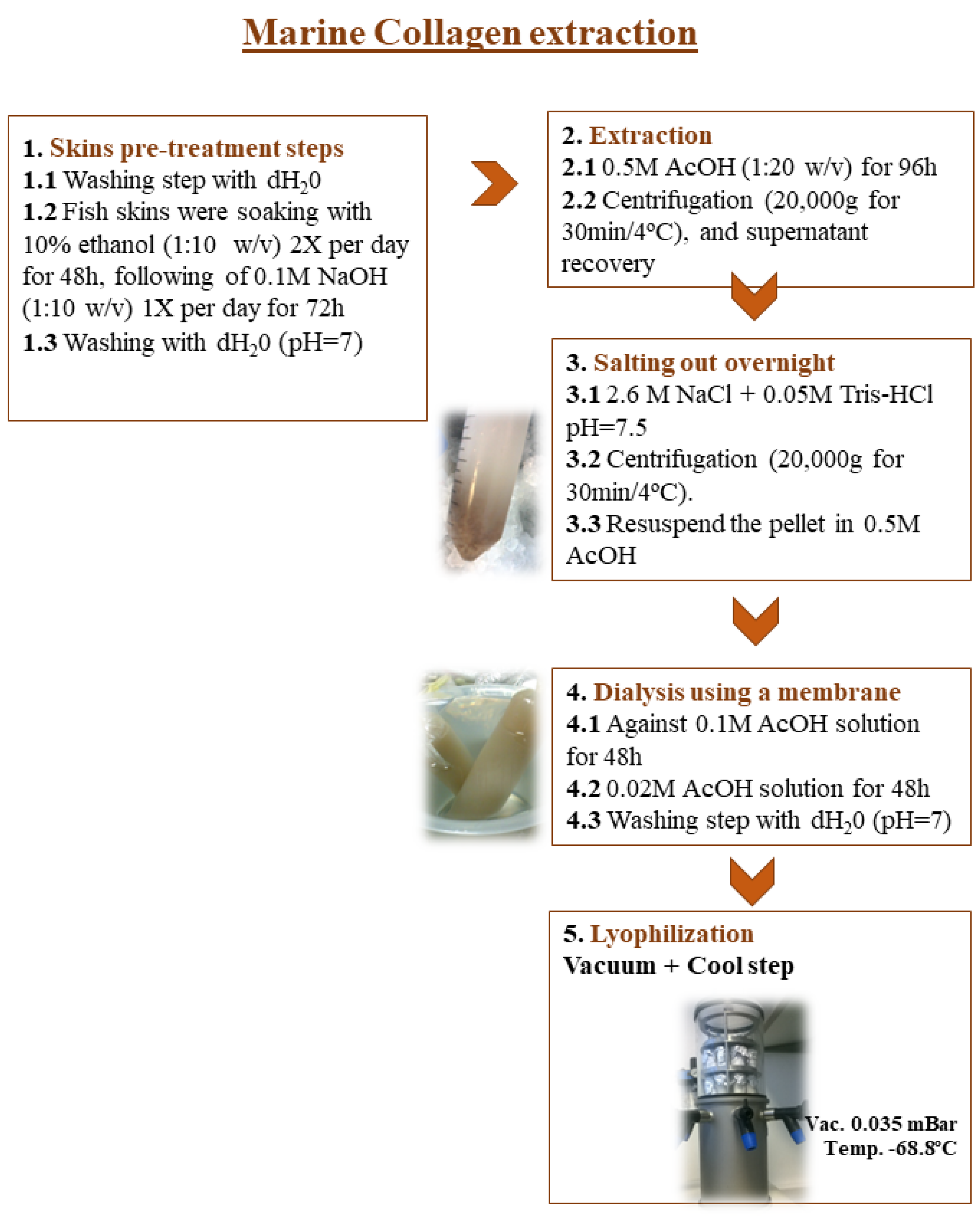 Marinedrugs 21 00057 g007