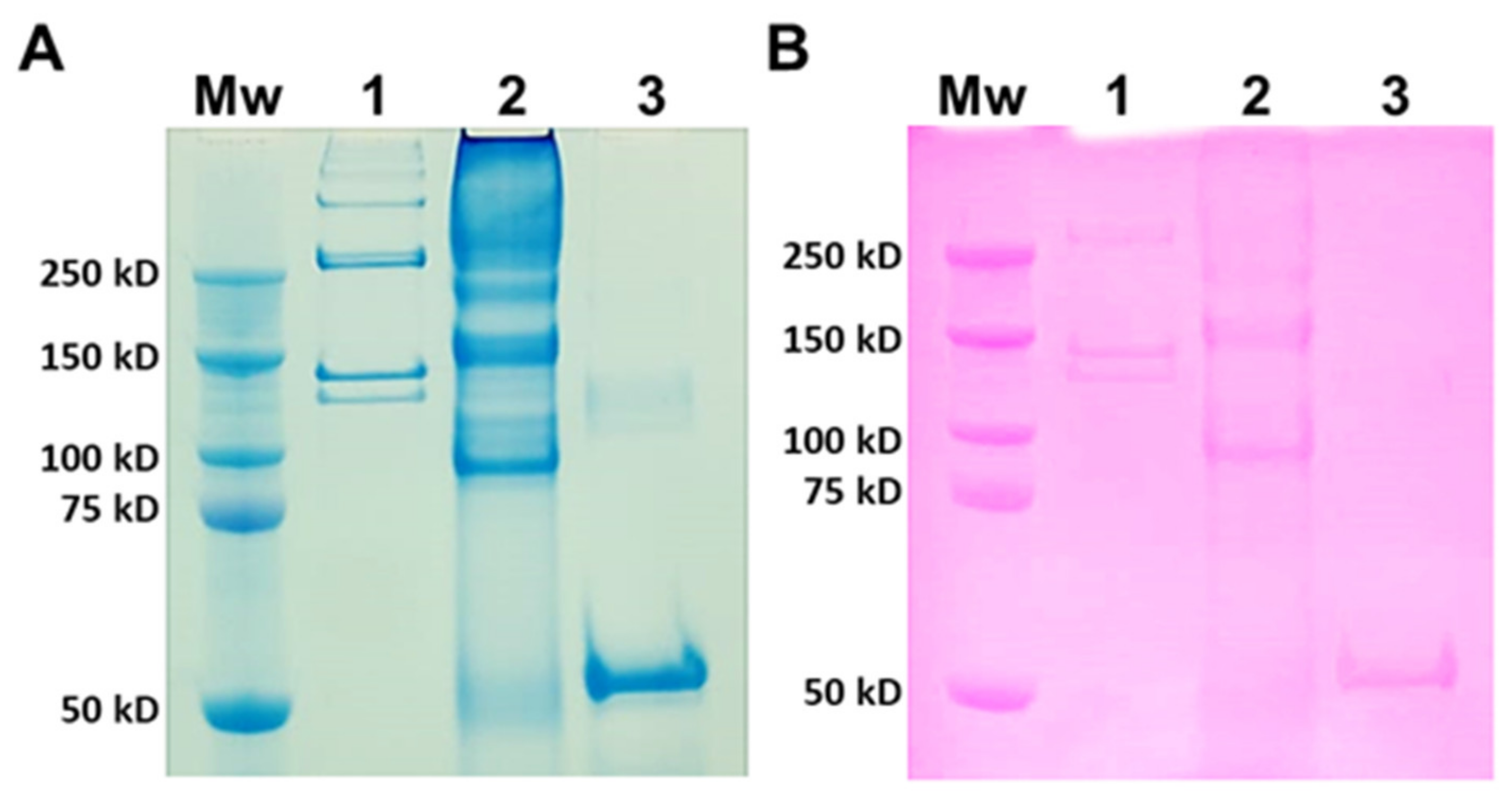 Marinedrugs 21 00059 g001