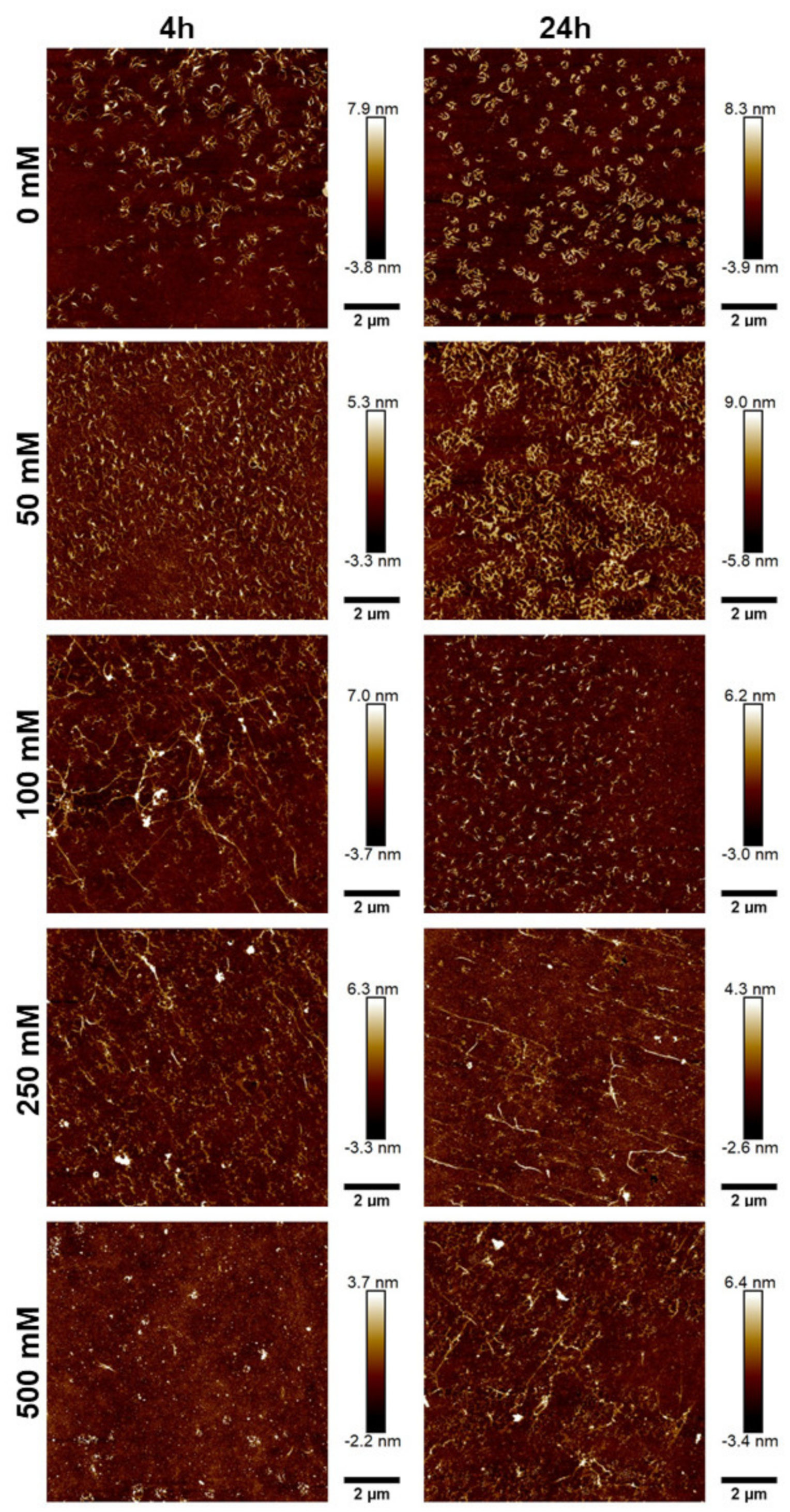 Marinedrugs 21 00059 g005