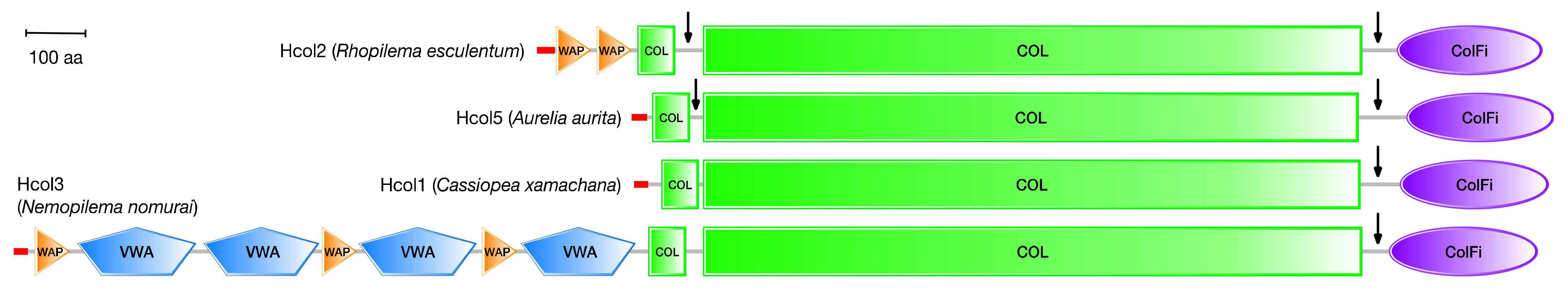Marinedrugs 21 00059 g010