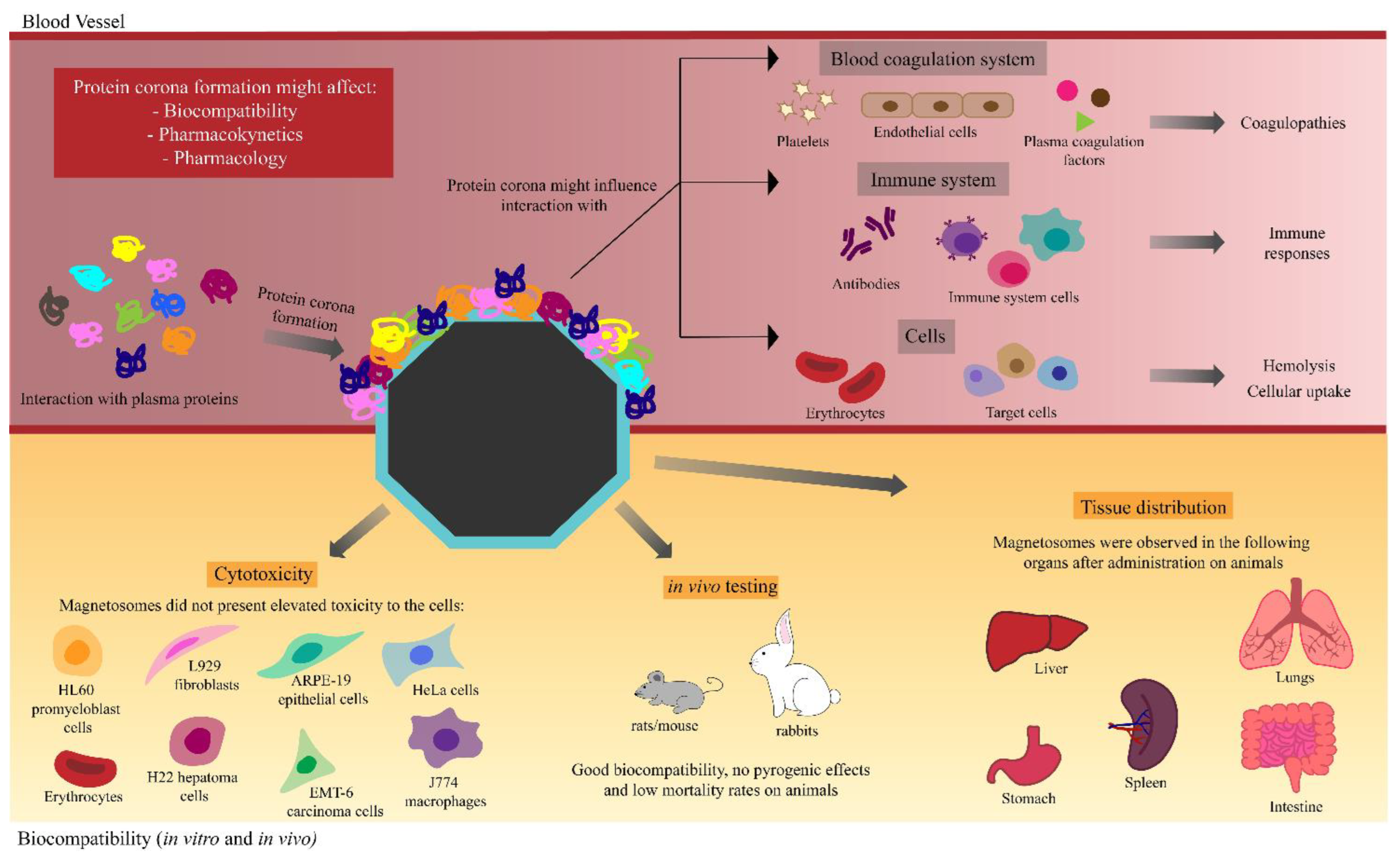Marinedrugs 21 00060 g003