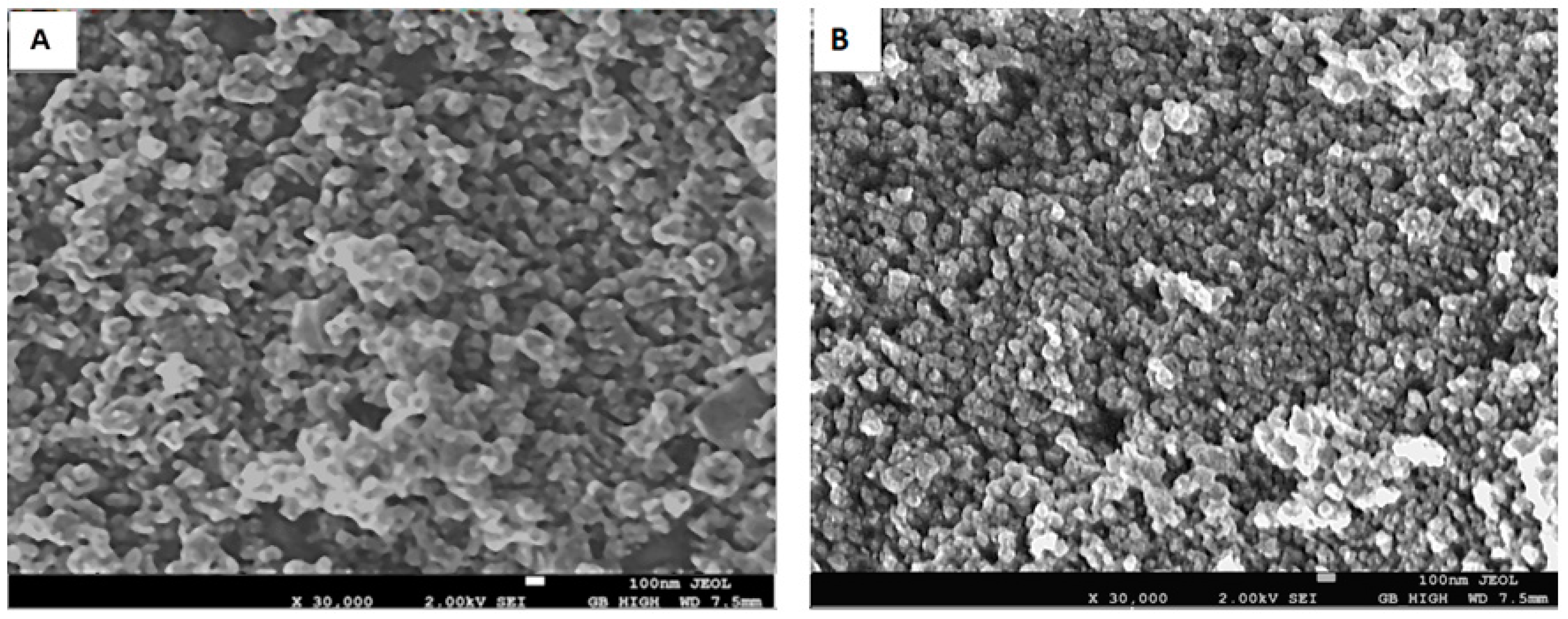 Marinedrugs 21 00062 g002