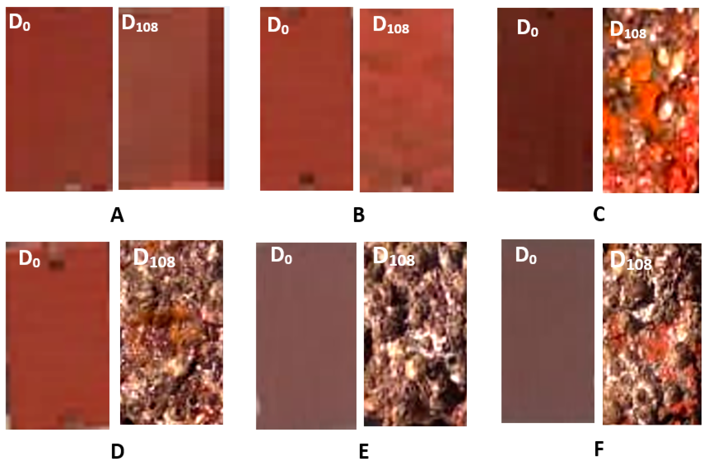 Marinedrugs 21 00062 g005