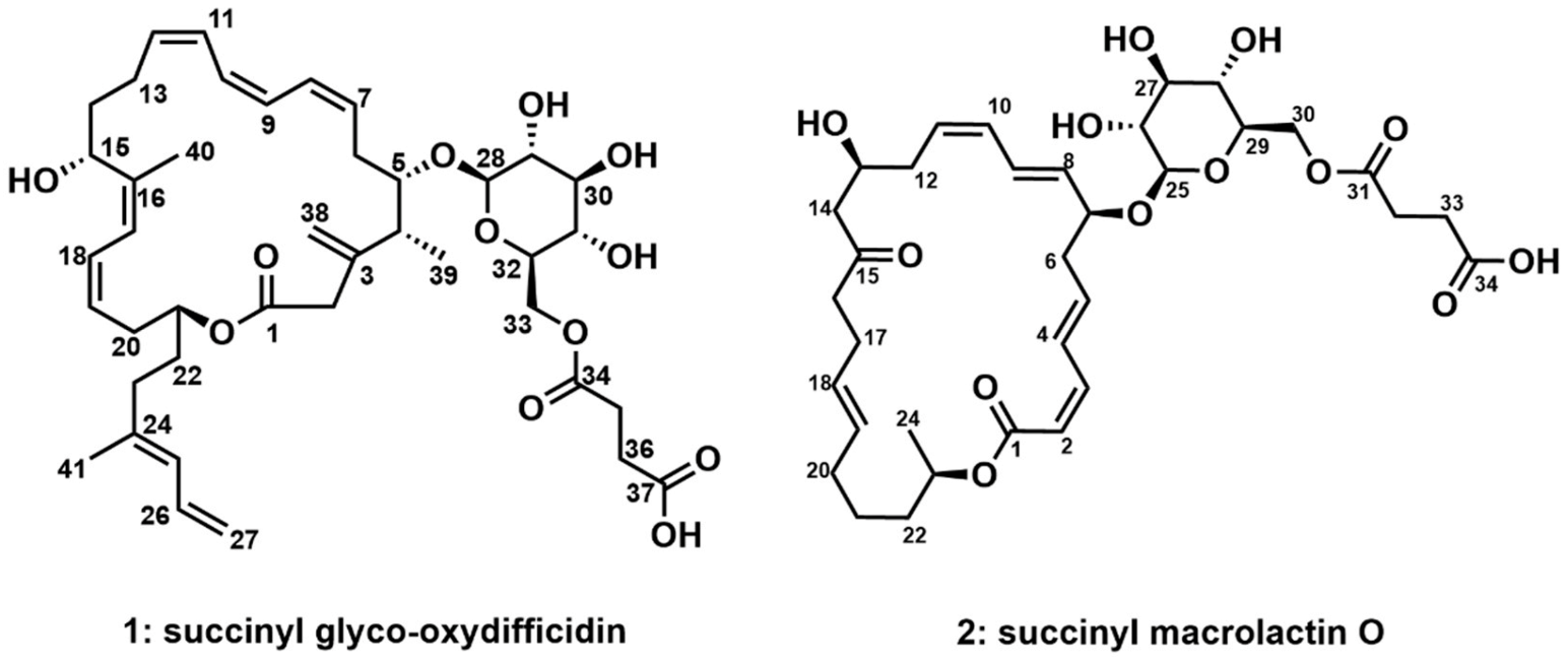 Marinedrugs 21 00067 g001