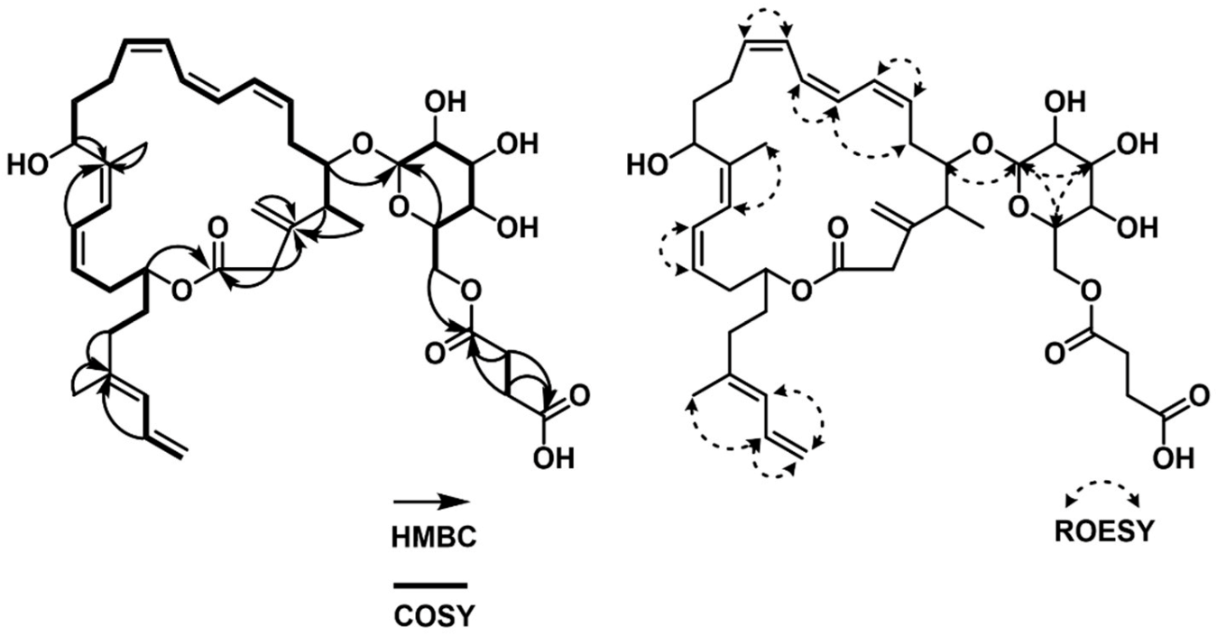 Marinedrugs 21 00067 g002