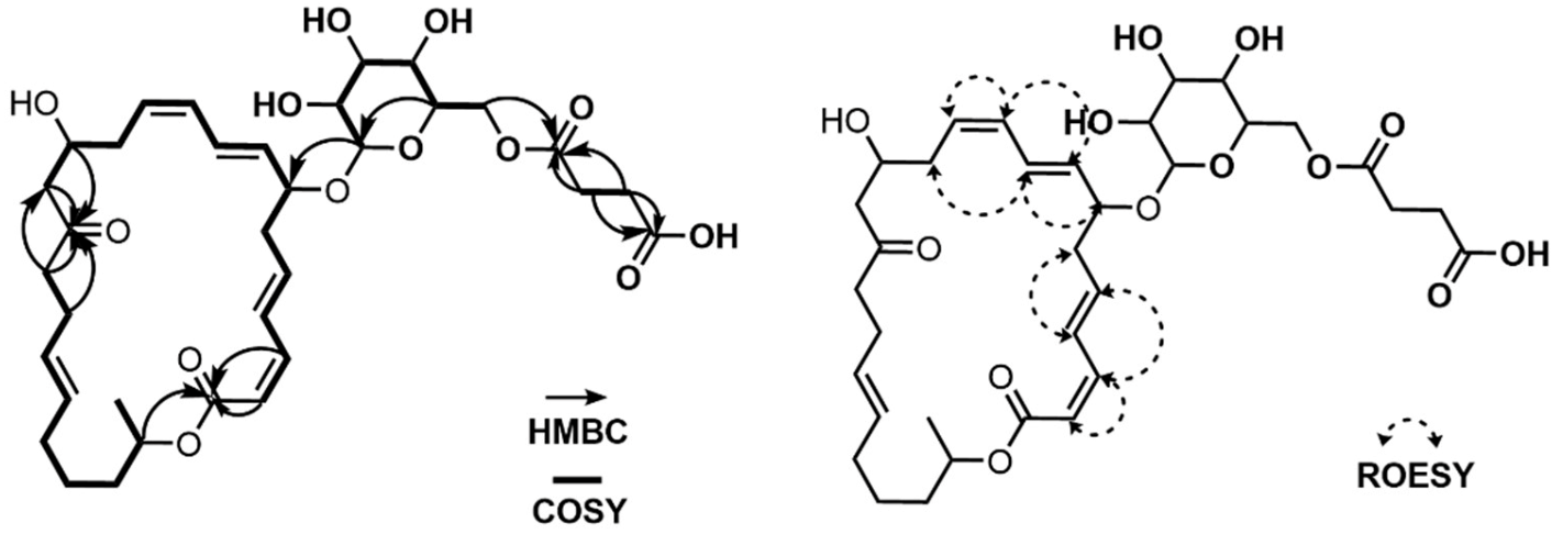 Marinedrugs 21 00067 g005