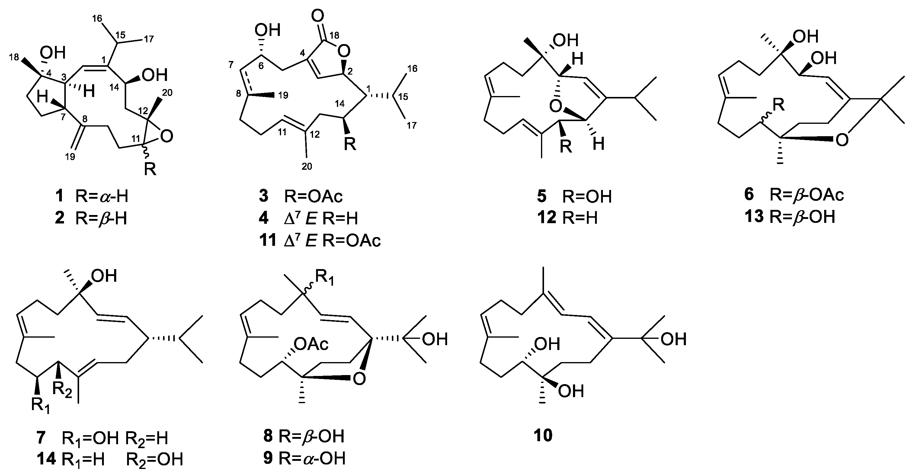 Marinedrugs 21 00069 g001