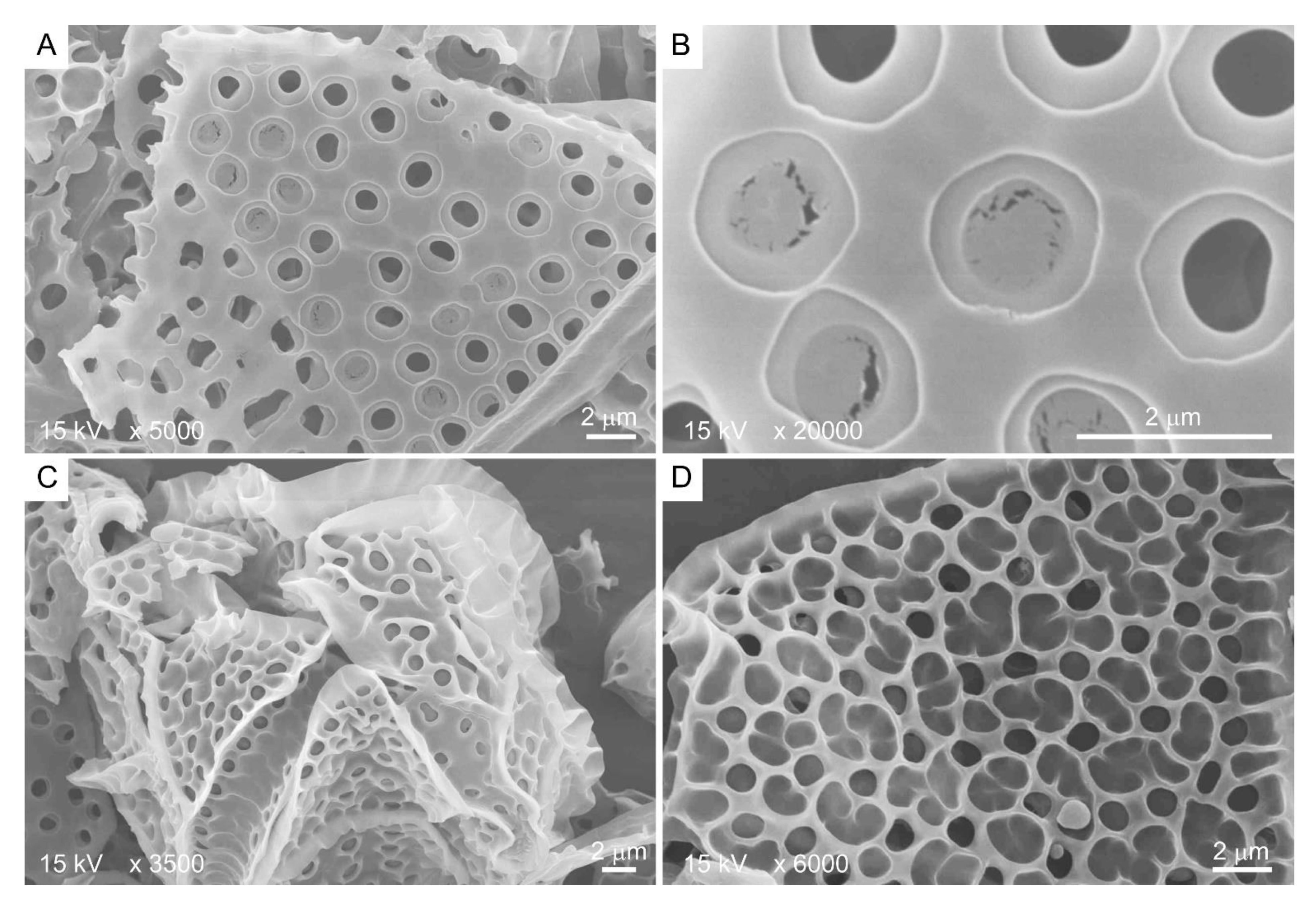 Marinedrugs 21 00070 g003