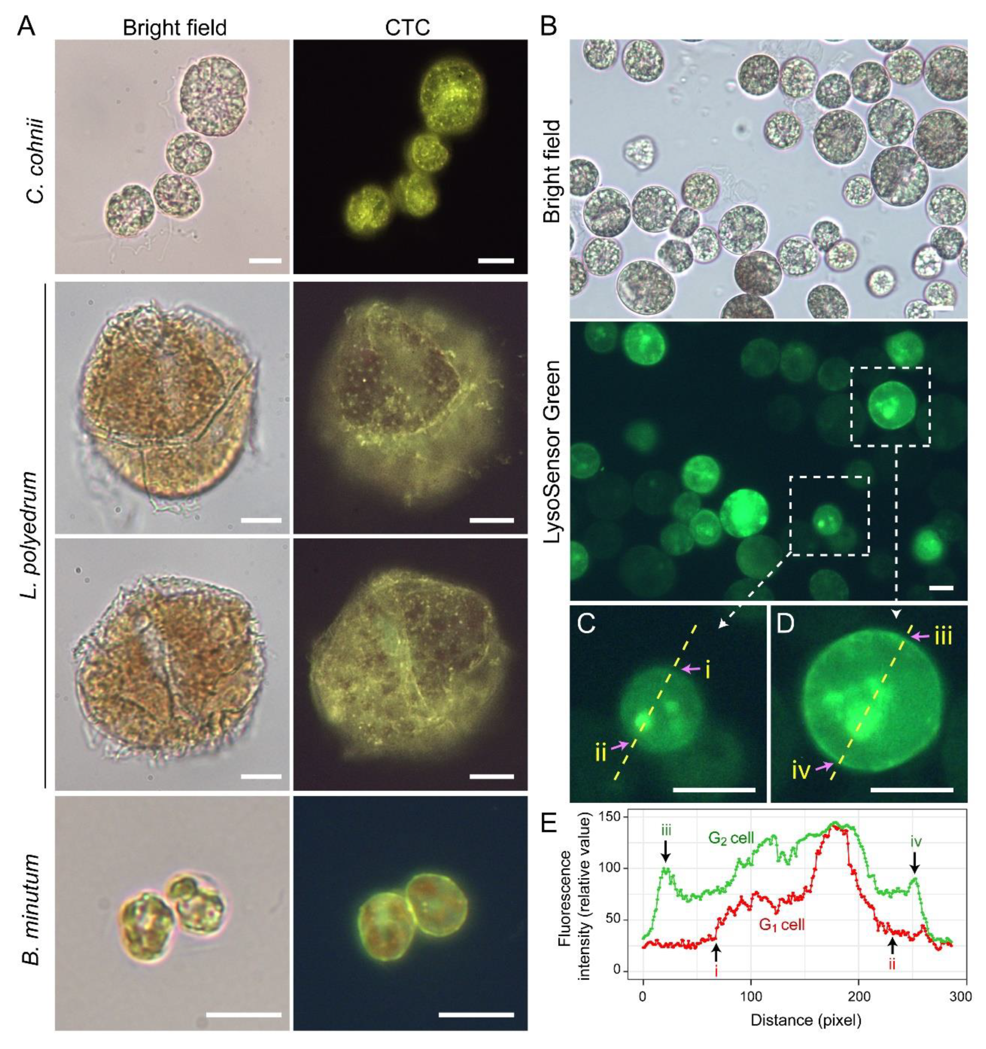 Marinedrugs 21 00070 g010