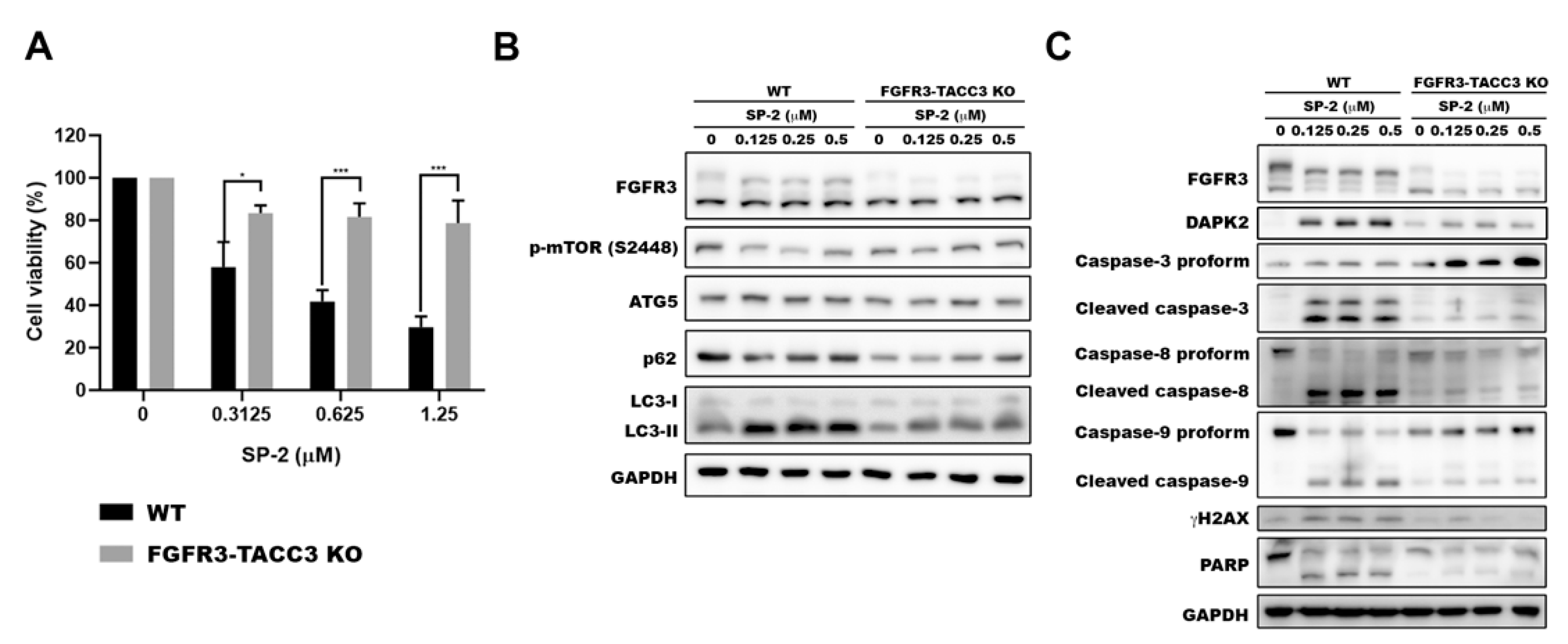 Marinedrugs 21 00073 g007