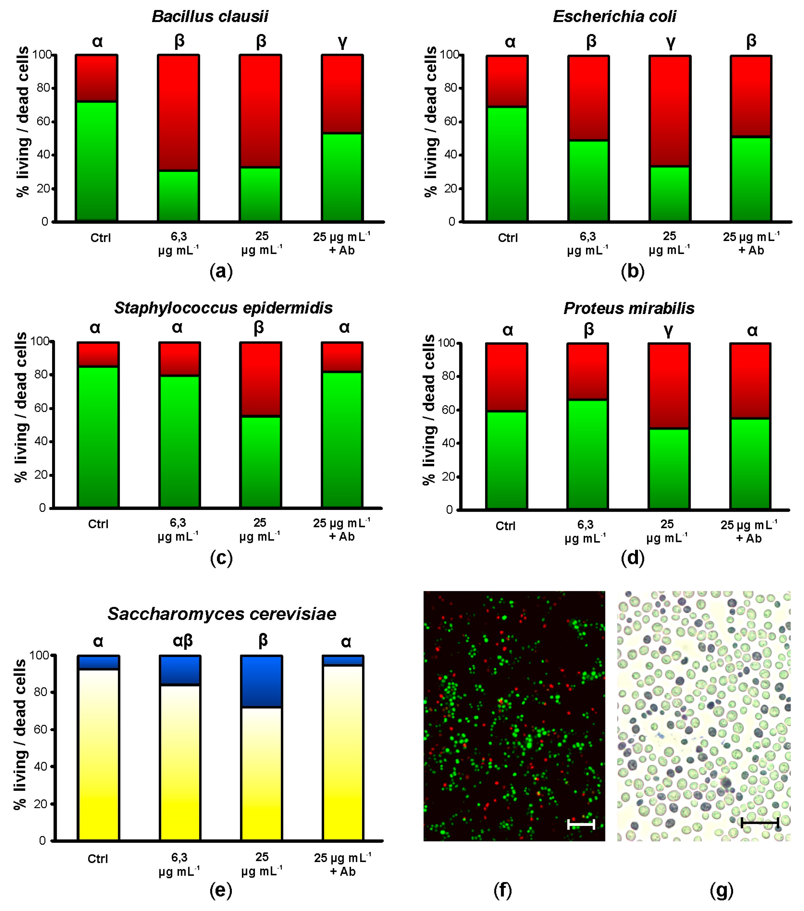 Marinedrugs 21 00074 g002