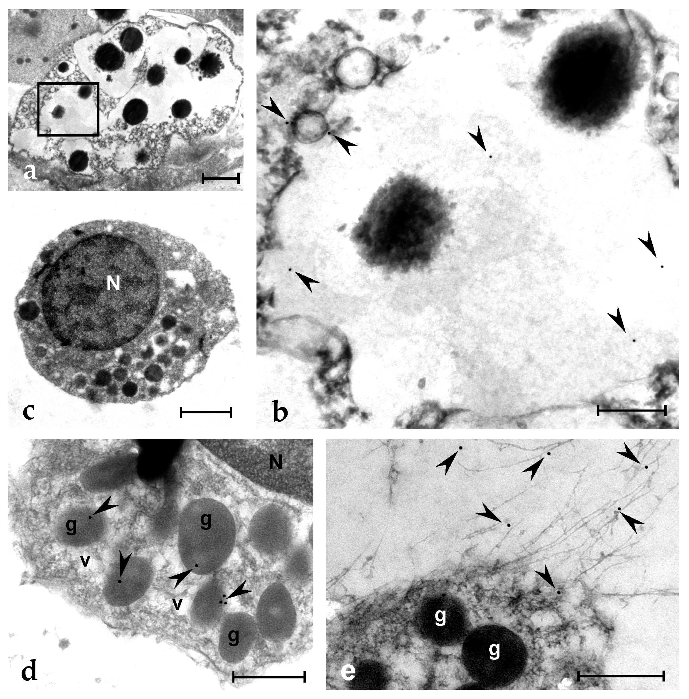 Marinedrugs 21 00074 g007