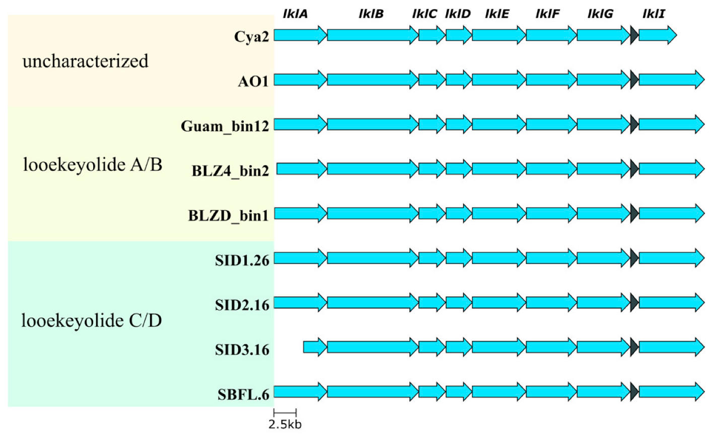 Marinedrugs 21 00076 g005