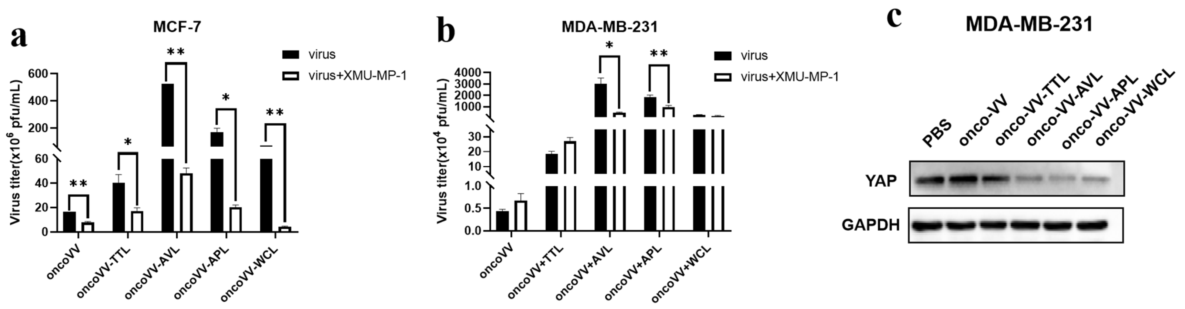 Marinedrugs 21 00077 g006