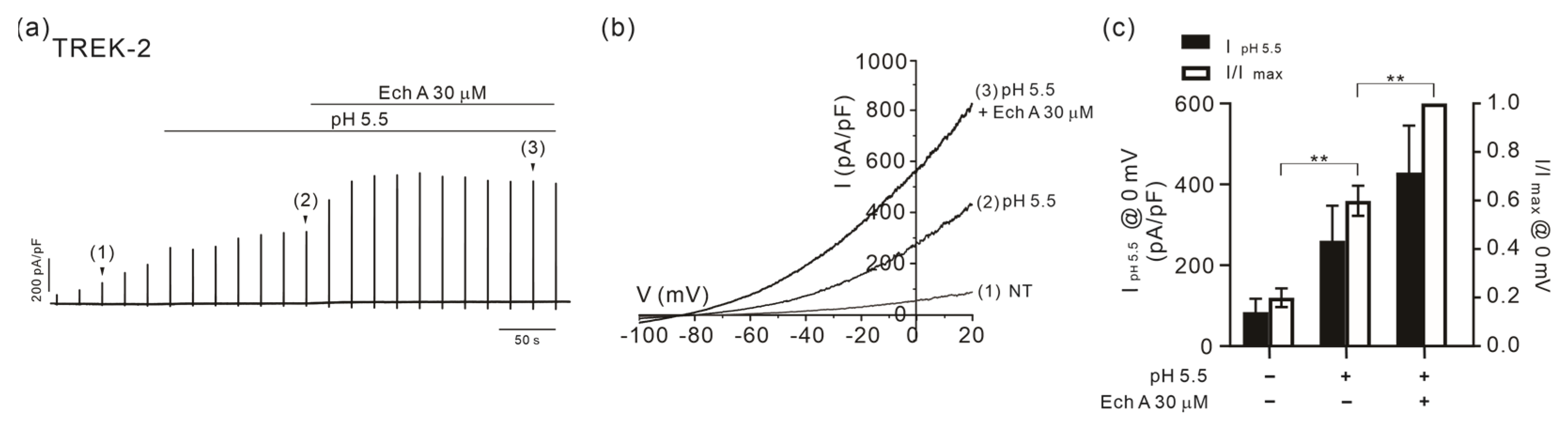 Marinedrugs 21 00078 g006