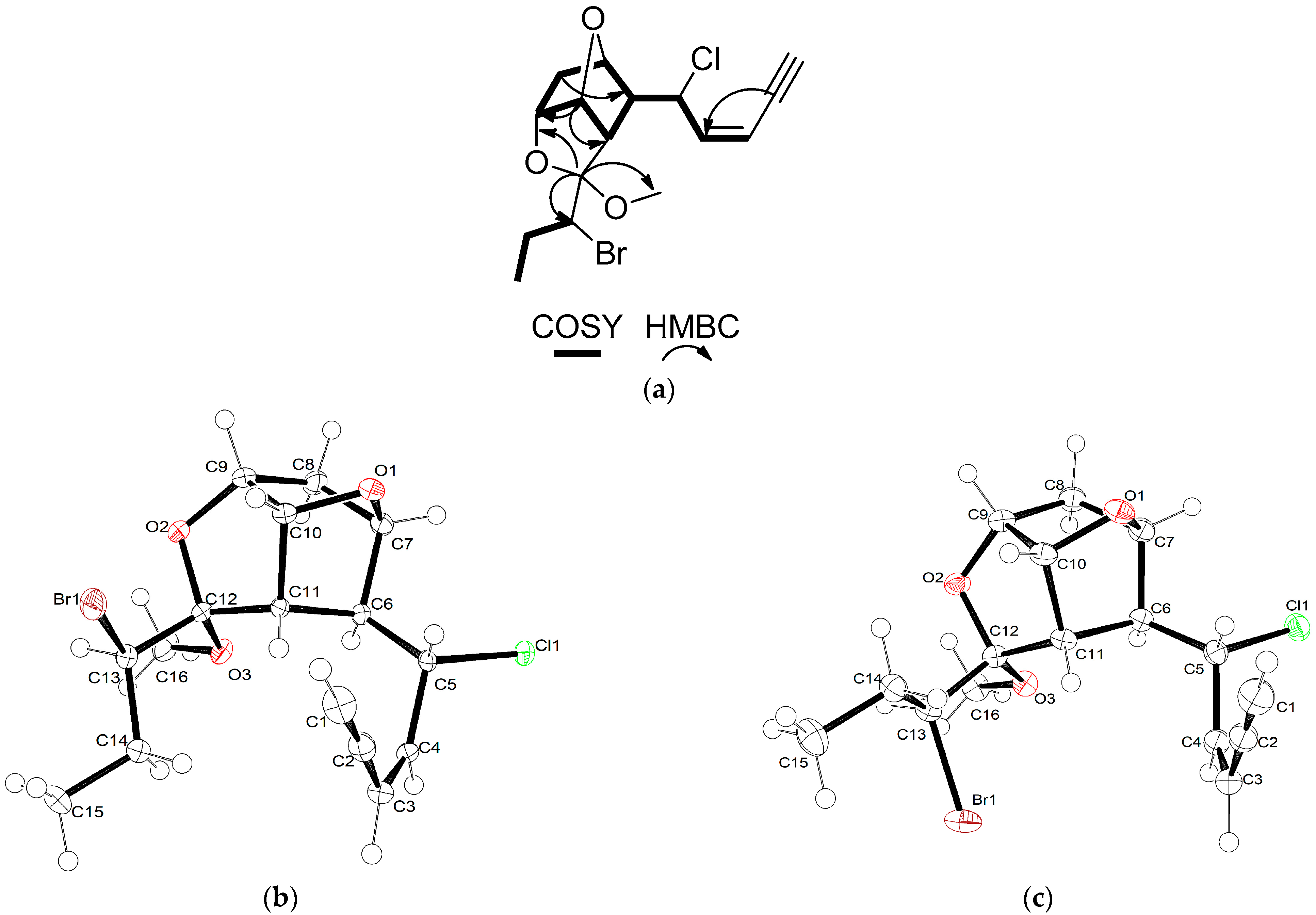 Marinedrugs 21 00079 g002