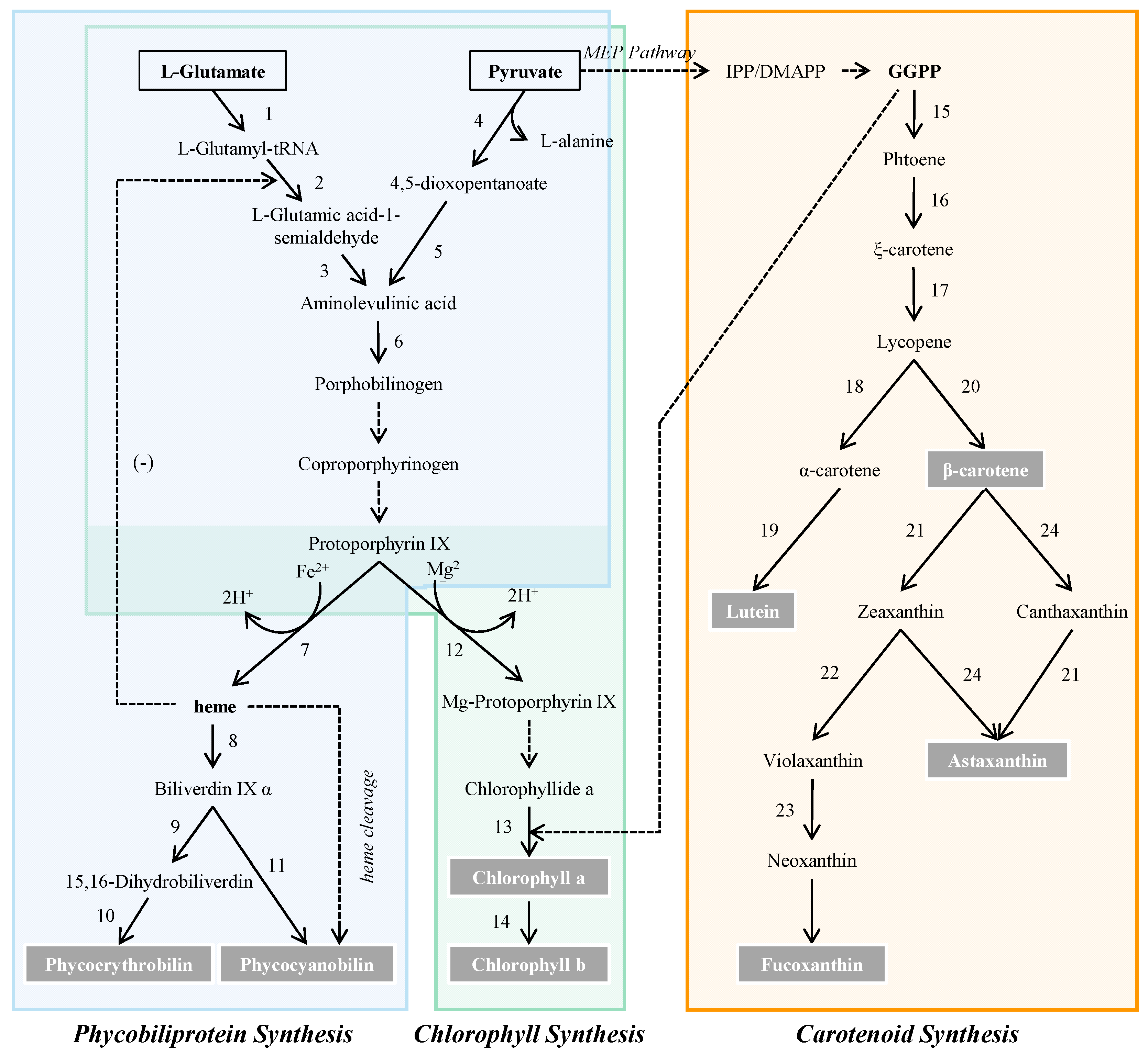 Marinedrugs 21 00082 g001