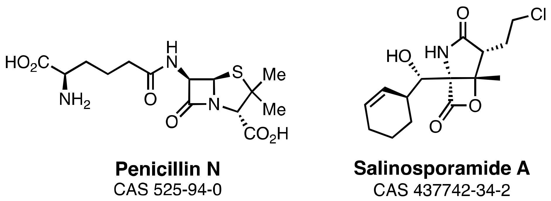 Marinedrugs 21 00086 g001