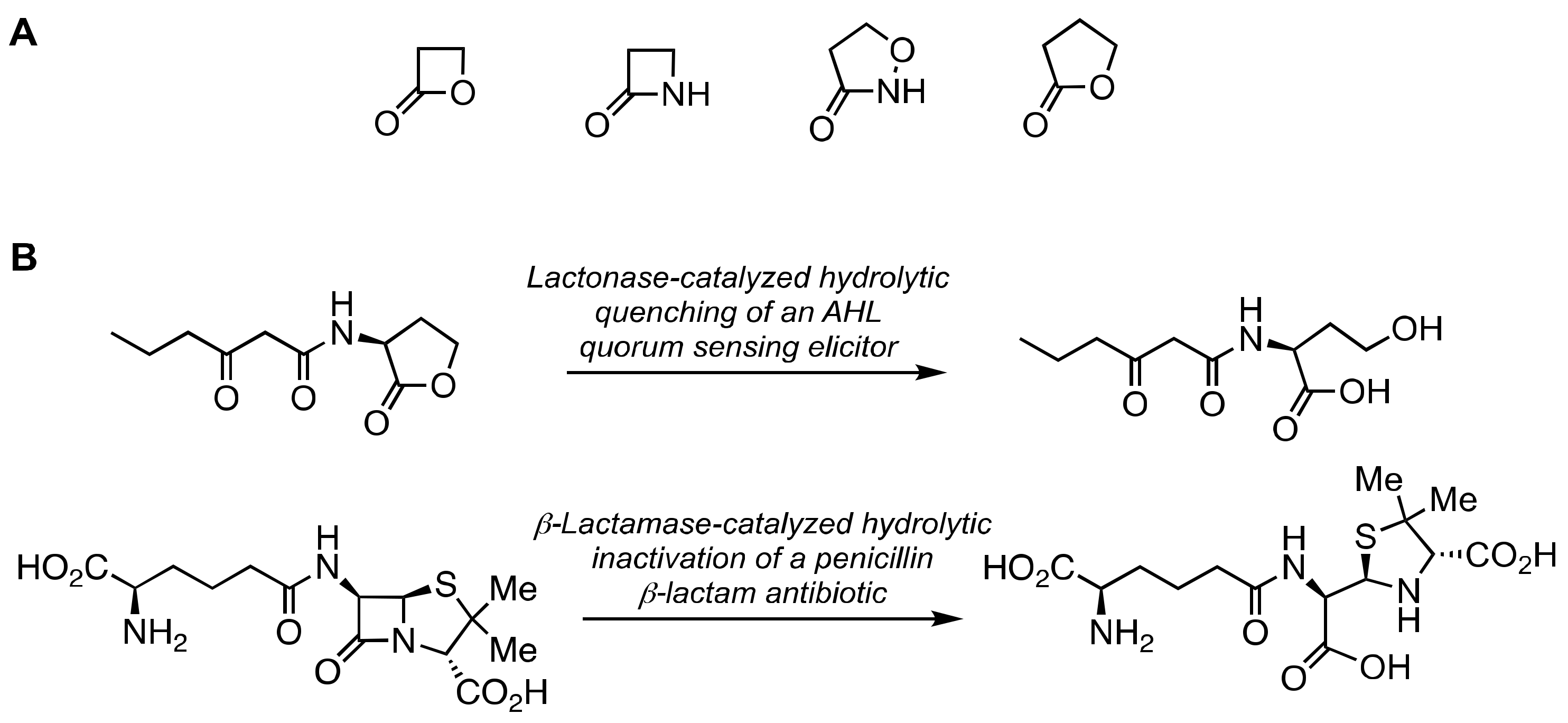 Marinedrugs 21 00086 g005