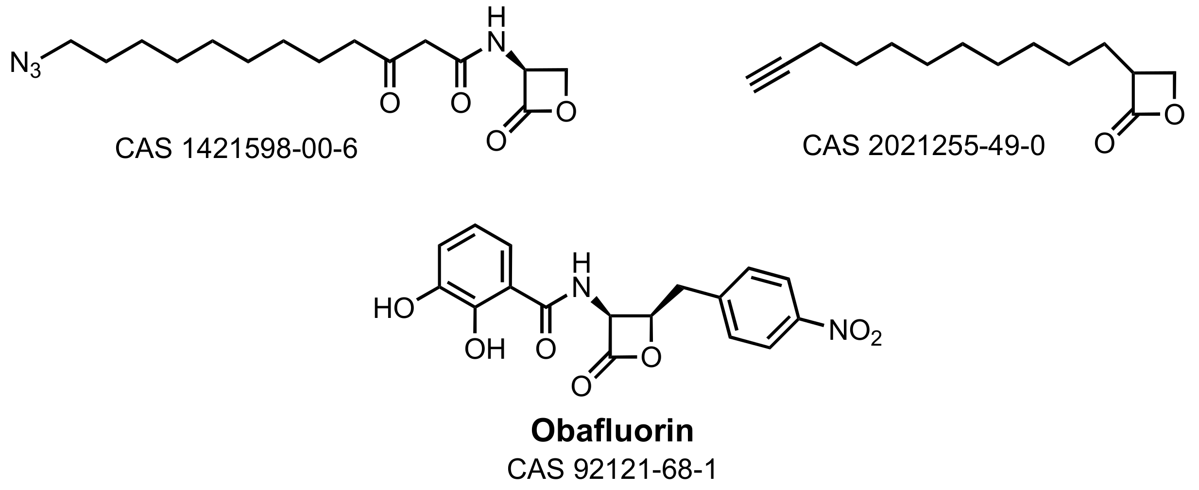 Marinedrugs 21 00086 g006
