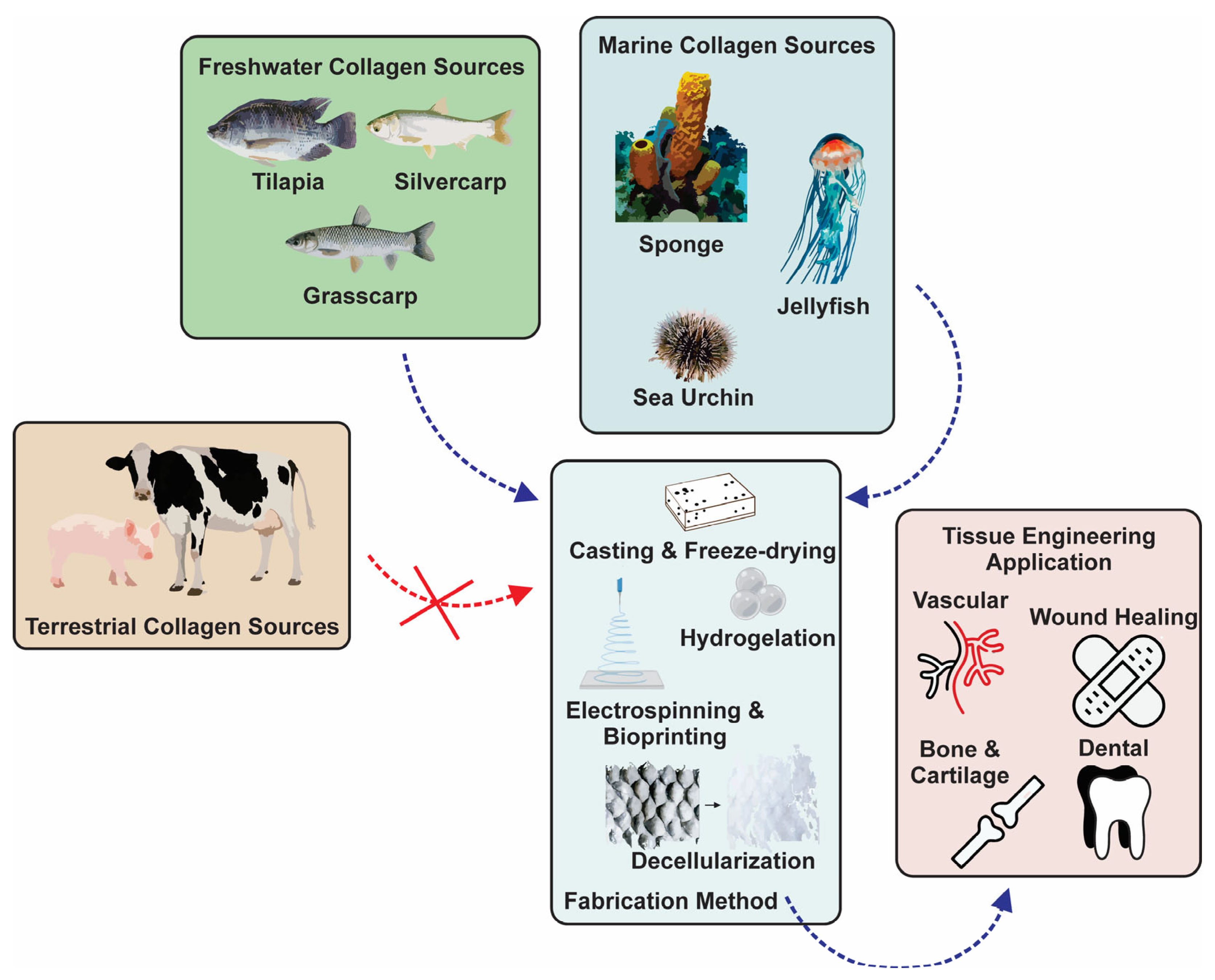 Marinedrugs 21 00087 g001