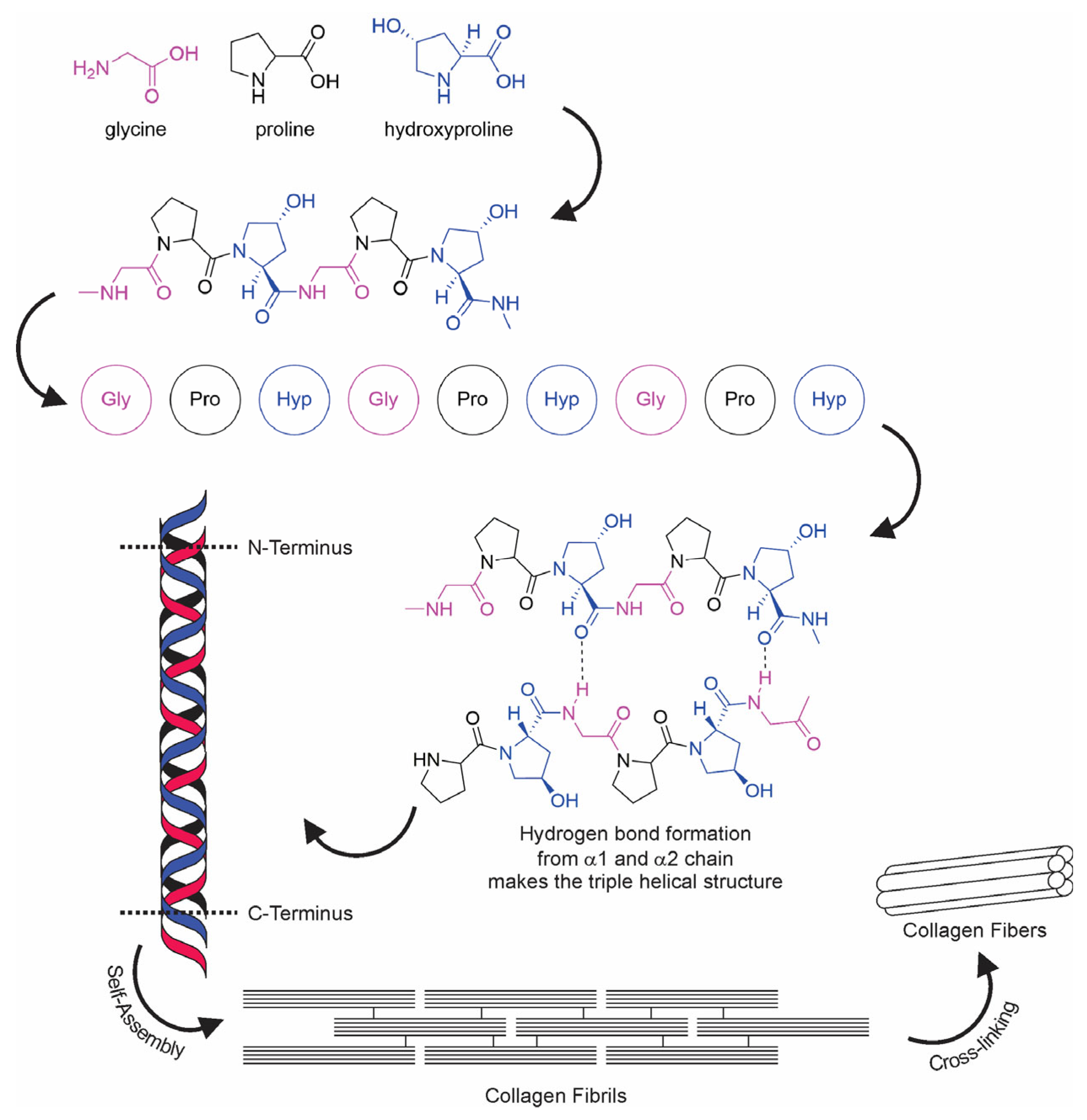 Marinedrugs 21 00087 g002