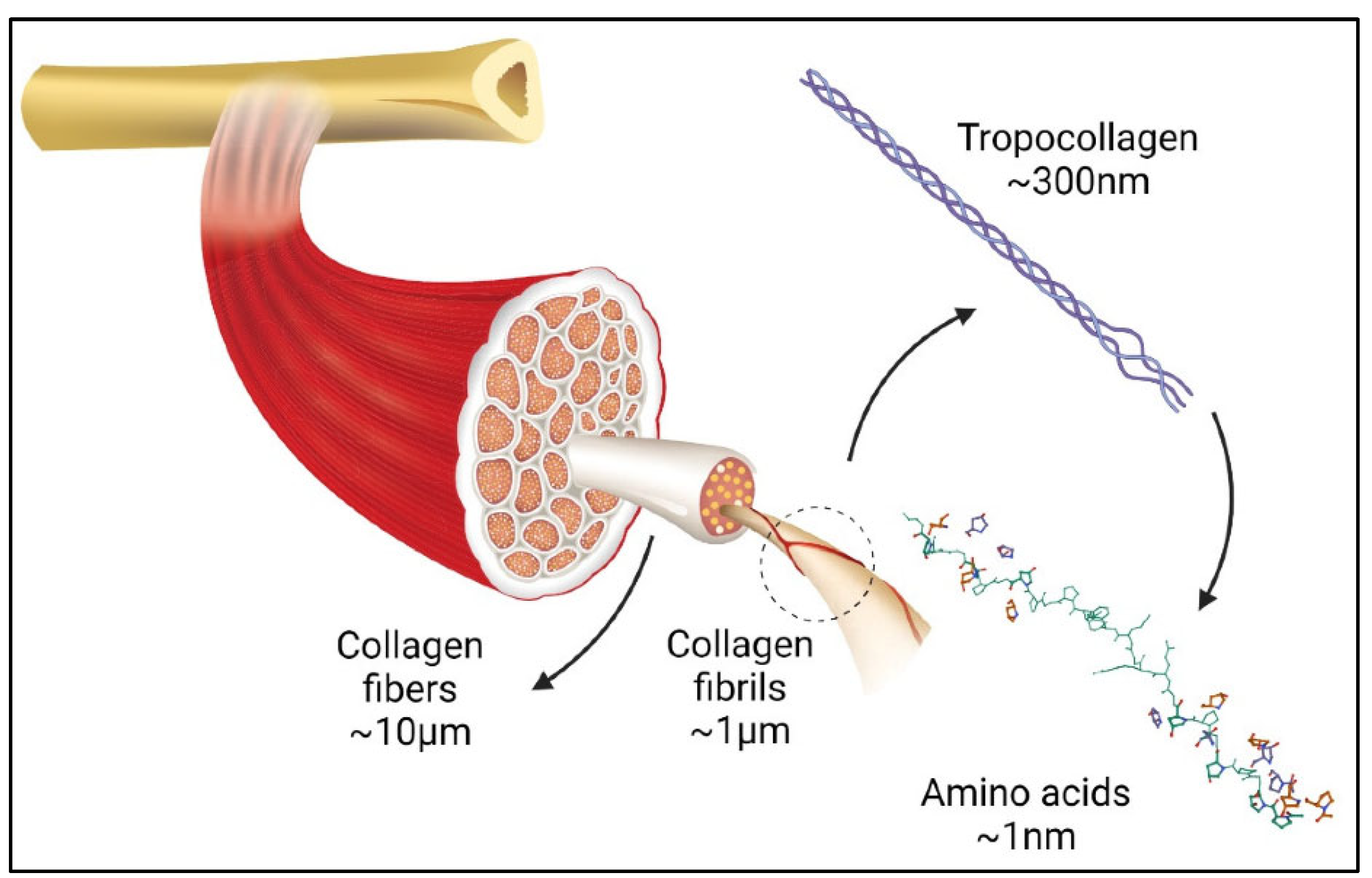 Marinedrugs 21 00087 g003