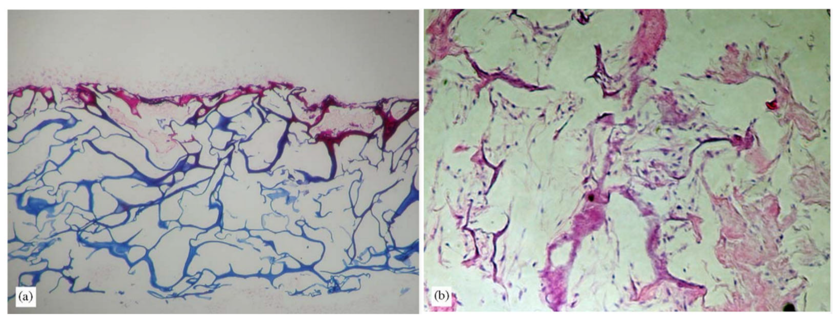 Marinedrugs 21 00087 g009