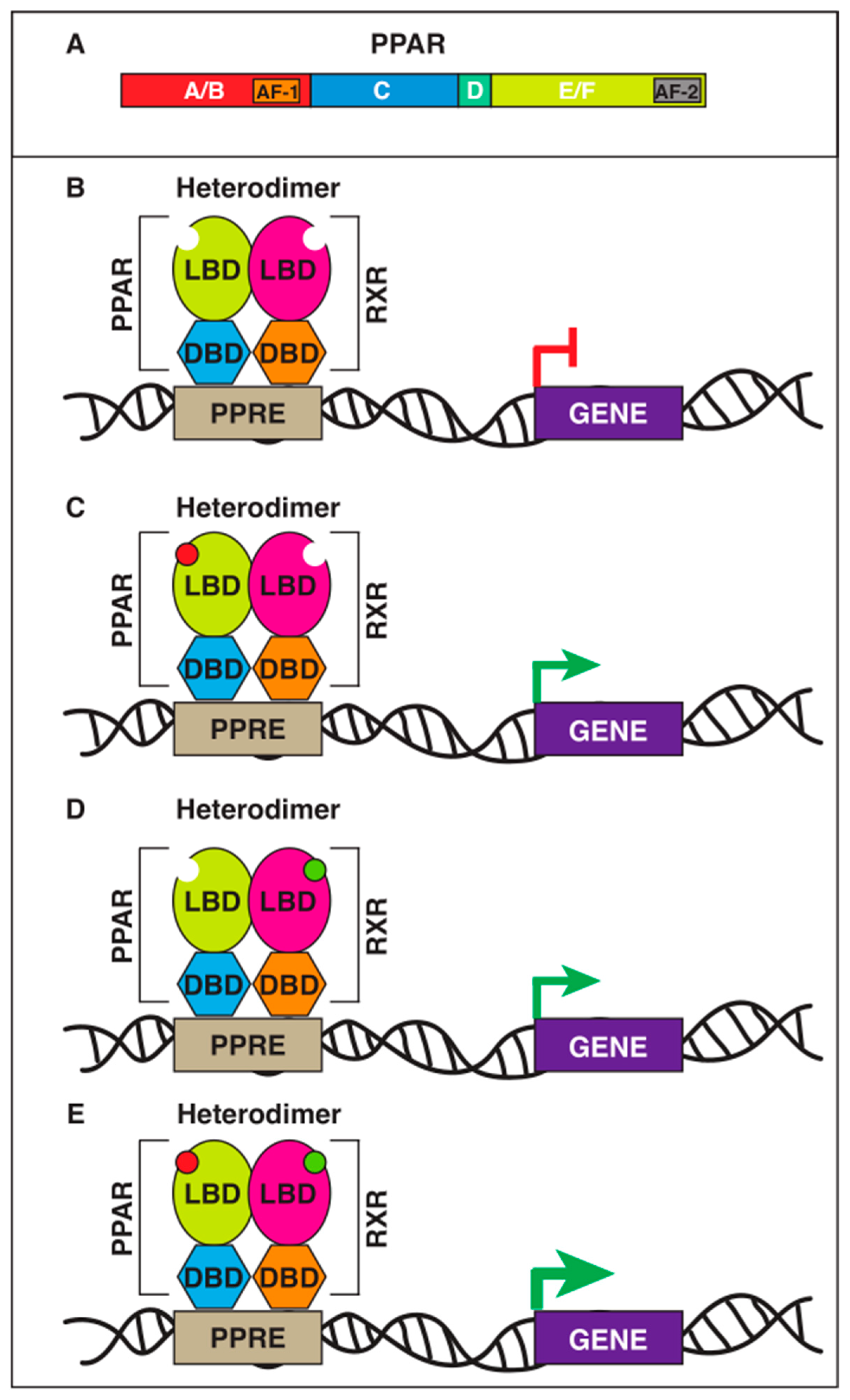 Marinedrugs 21 00089 g001