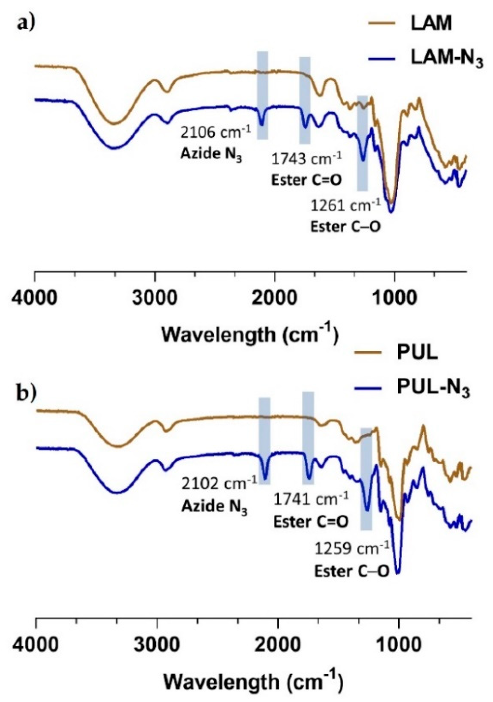 Marinedrugs 21 00092 g003