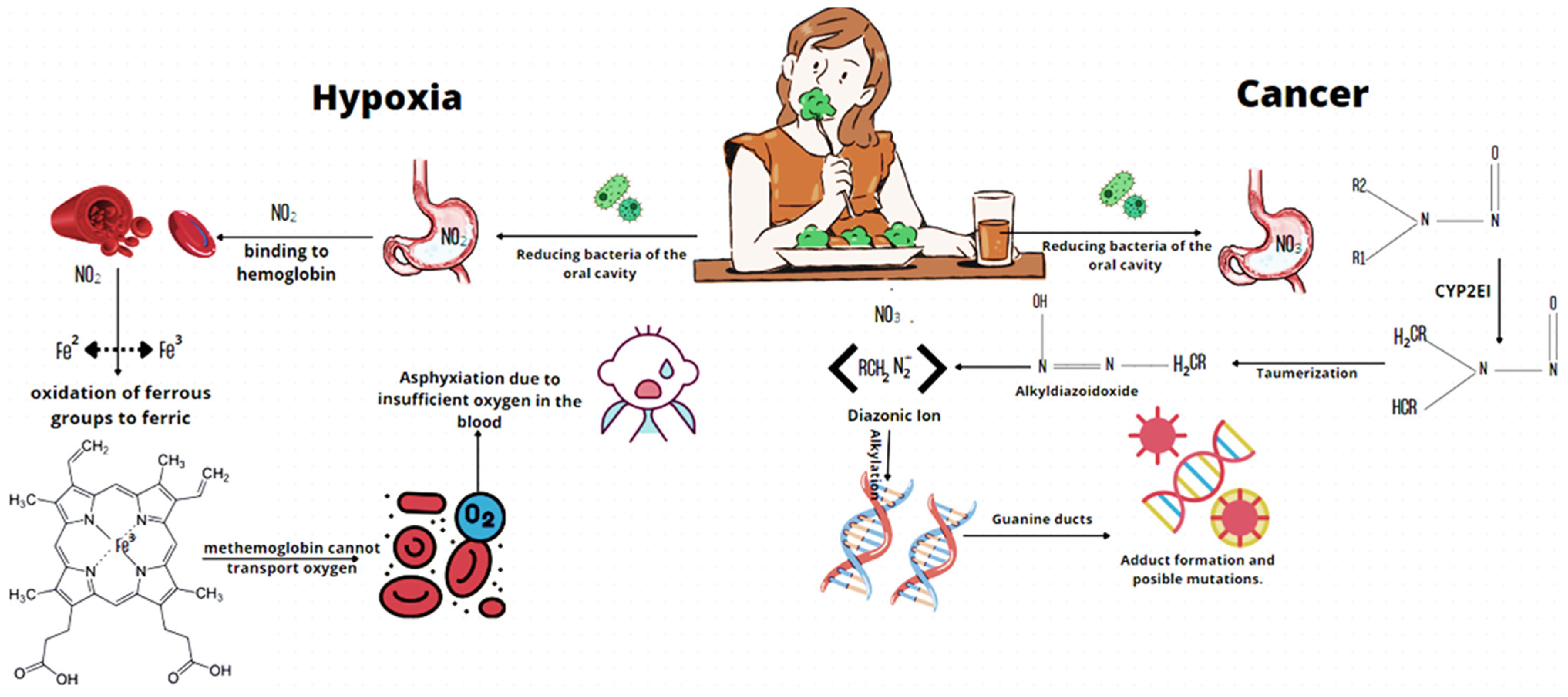 Marinedrugs 21 00093 g003