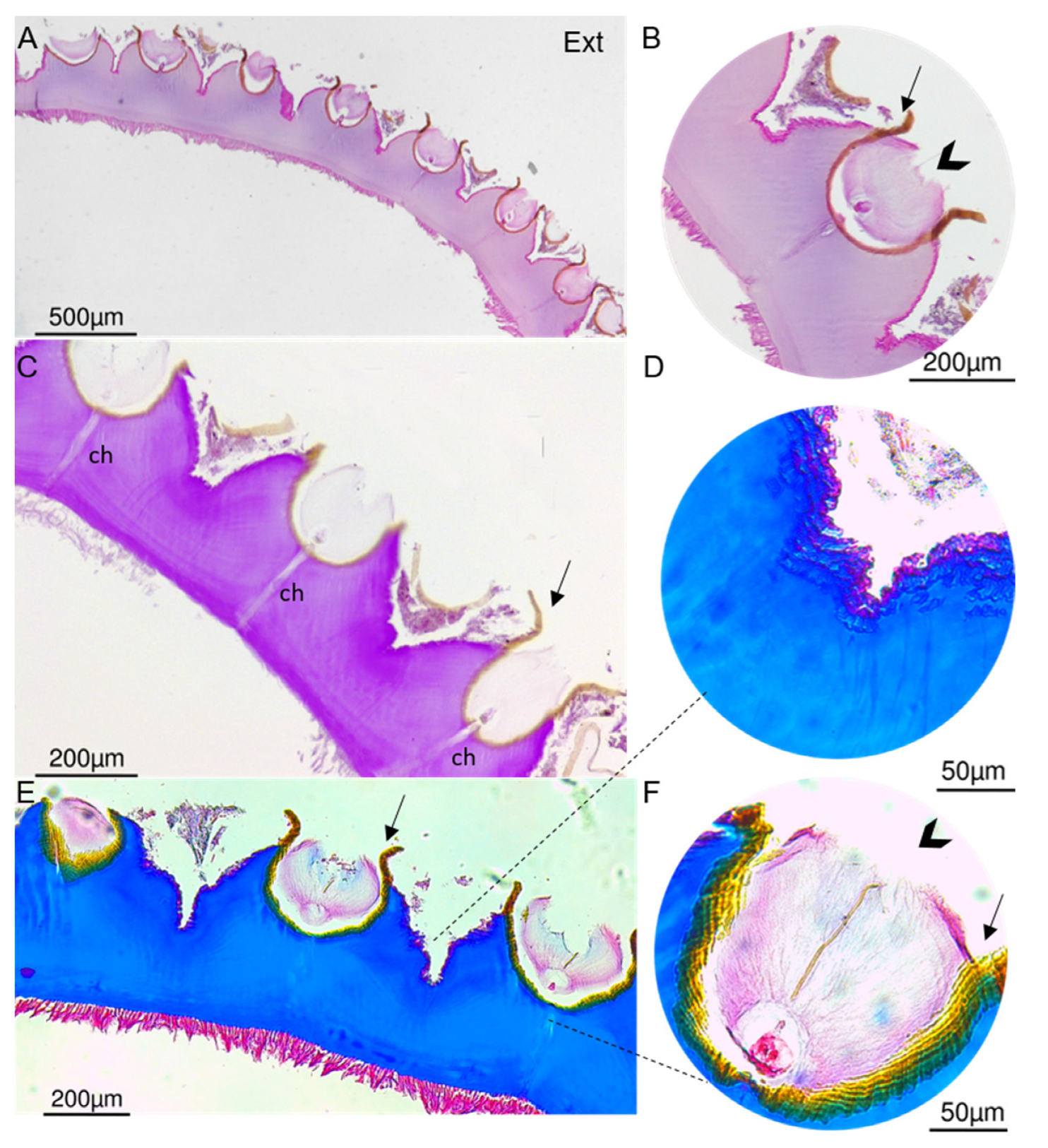 Marinedrugs 21 00096 g006