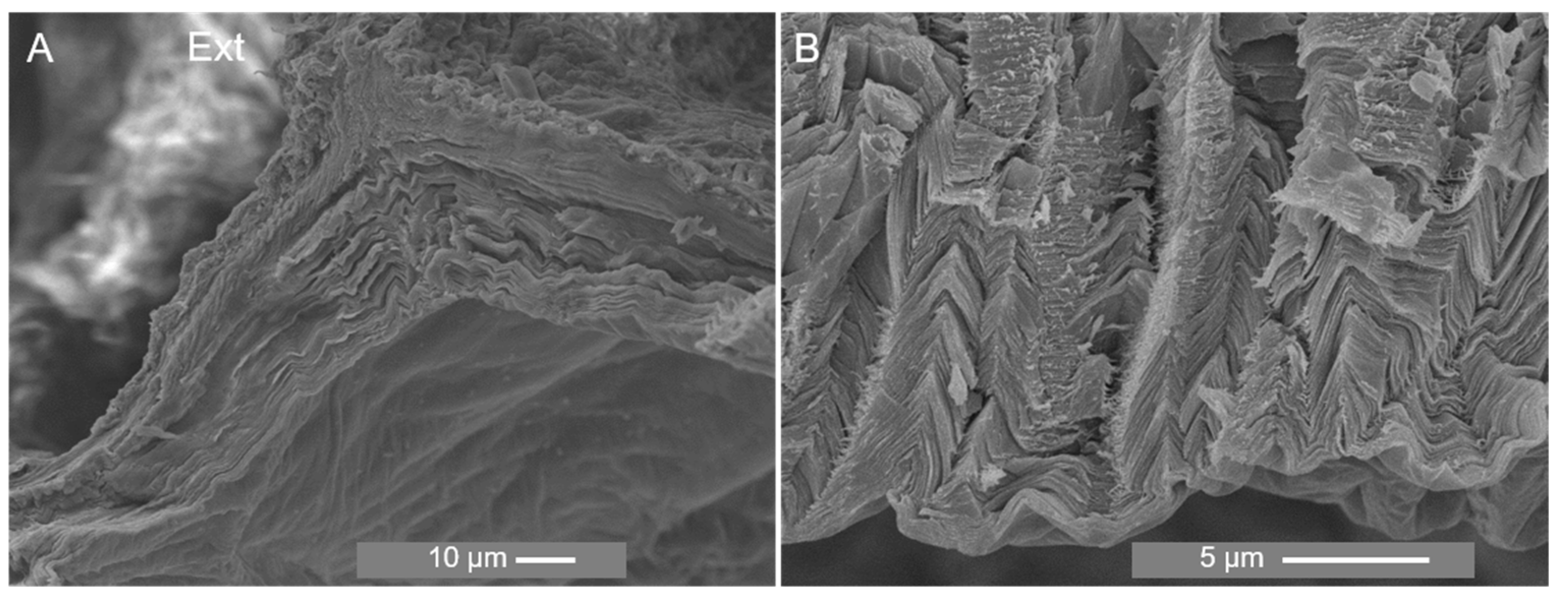 Marinedrugs 21 00096 g007