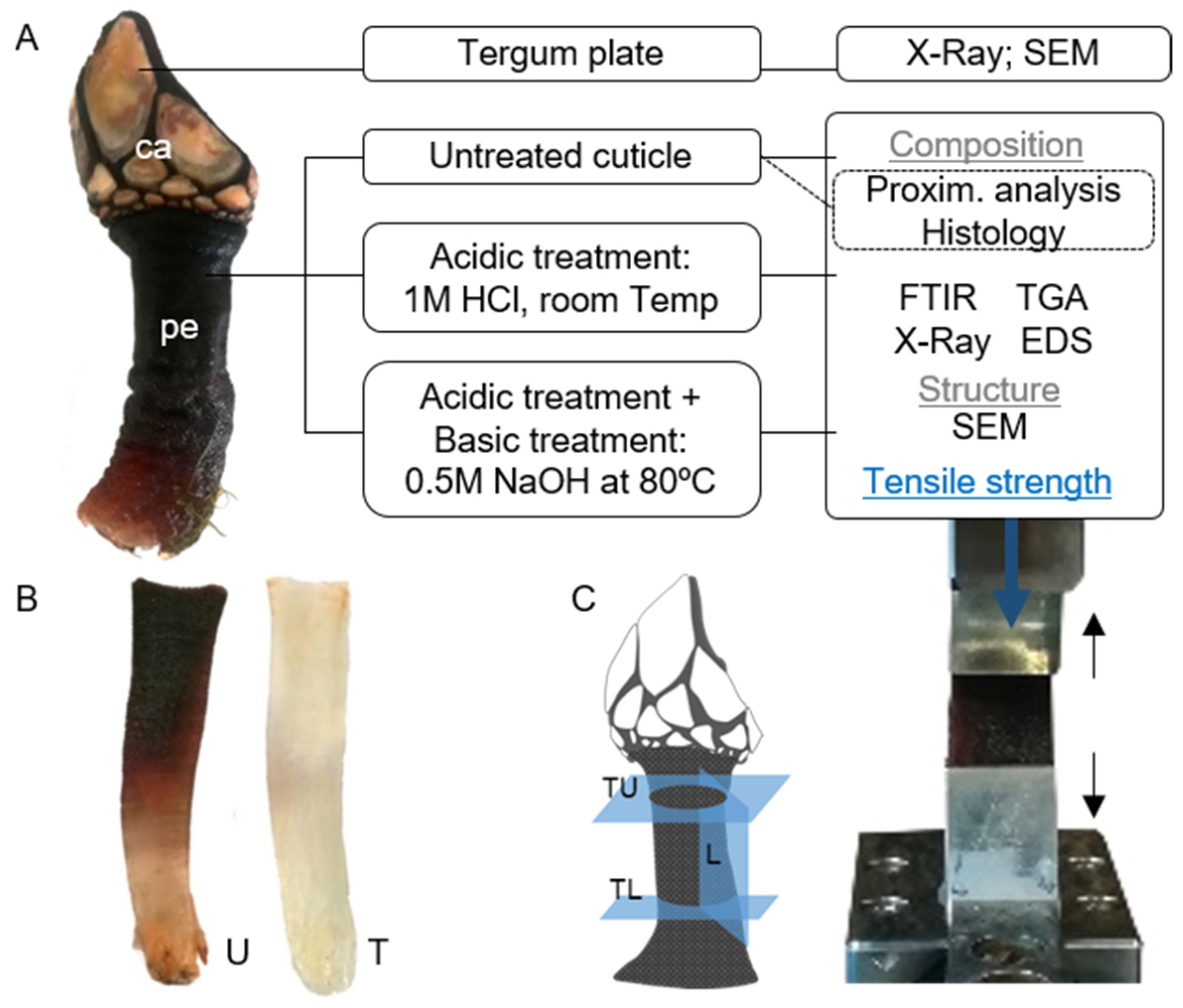 Marinedrugs 21 00096 g010