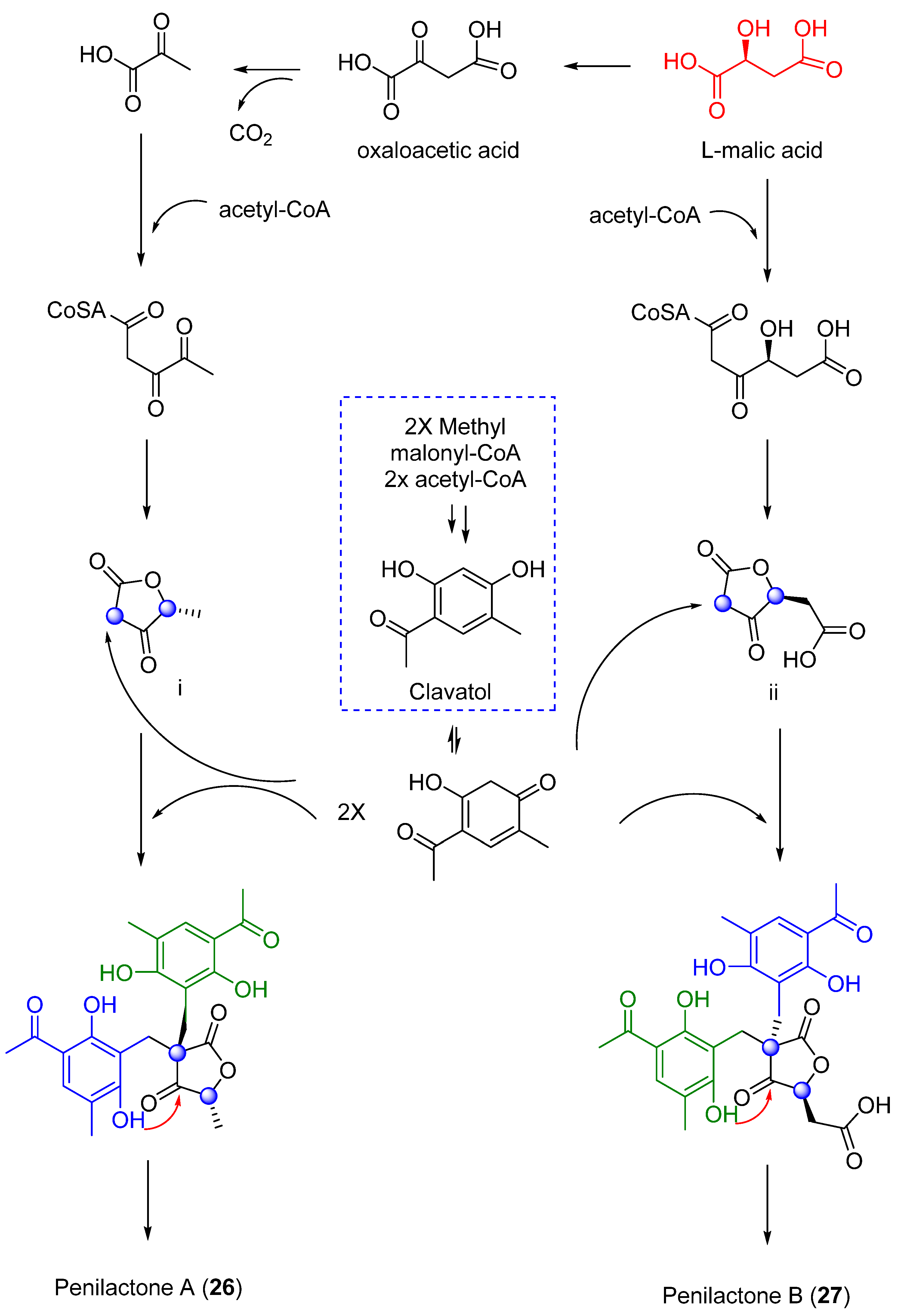 Marinedrugs 21 00098 sch001