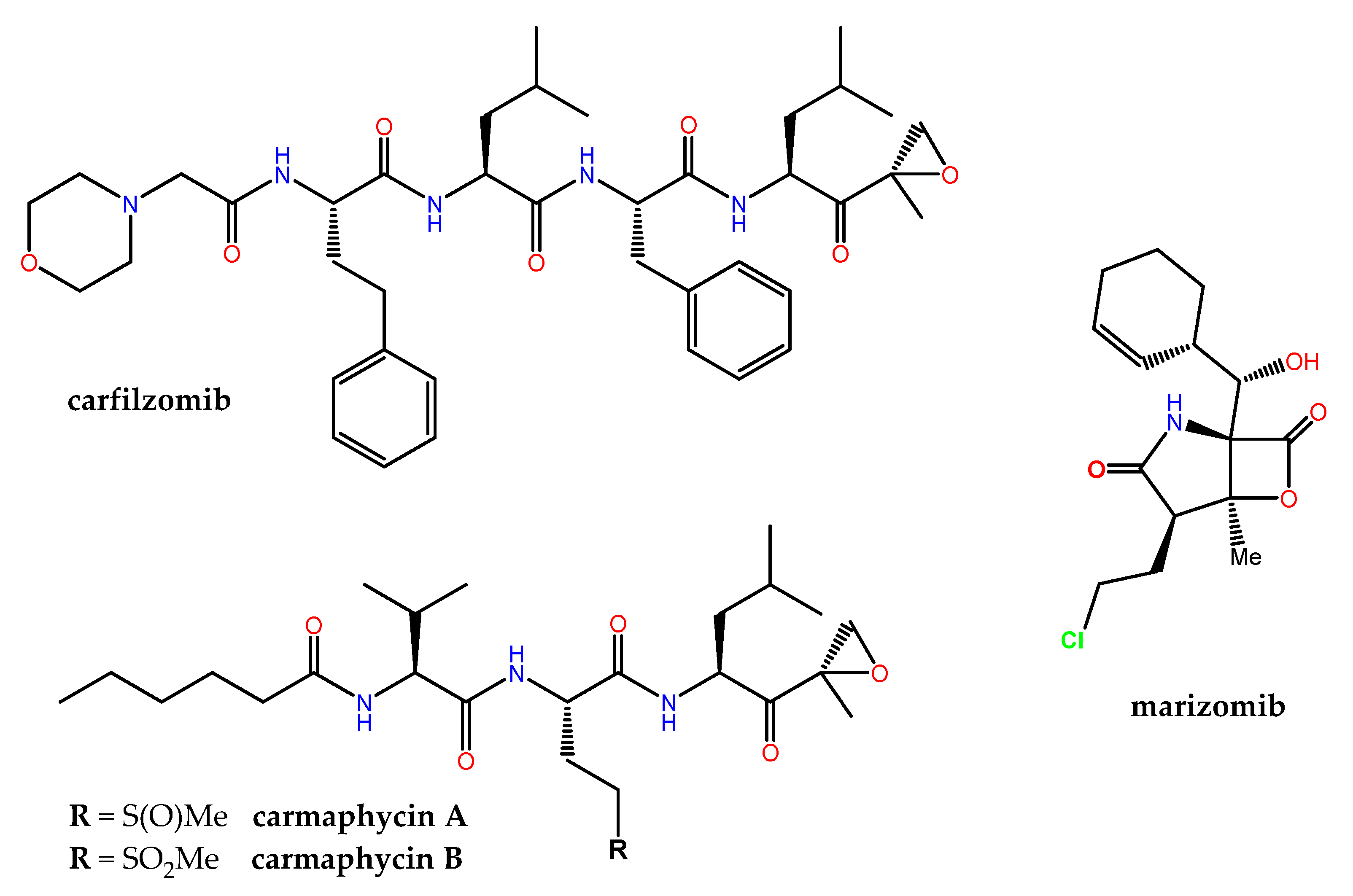 Marinedrugs 21 00100 g008