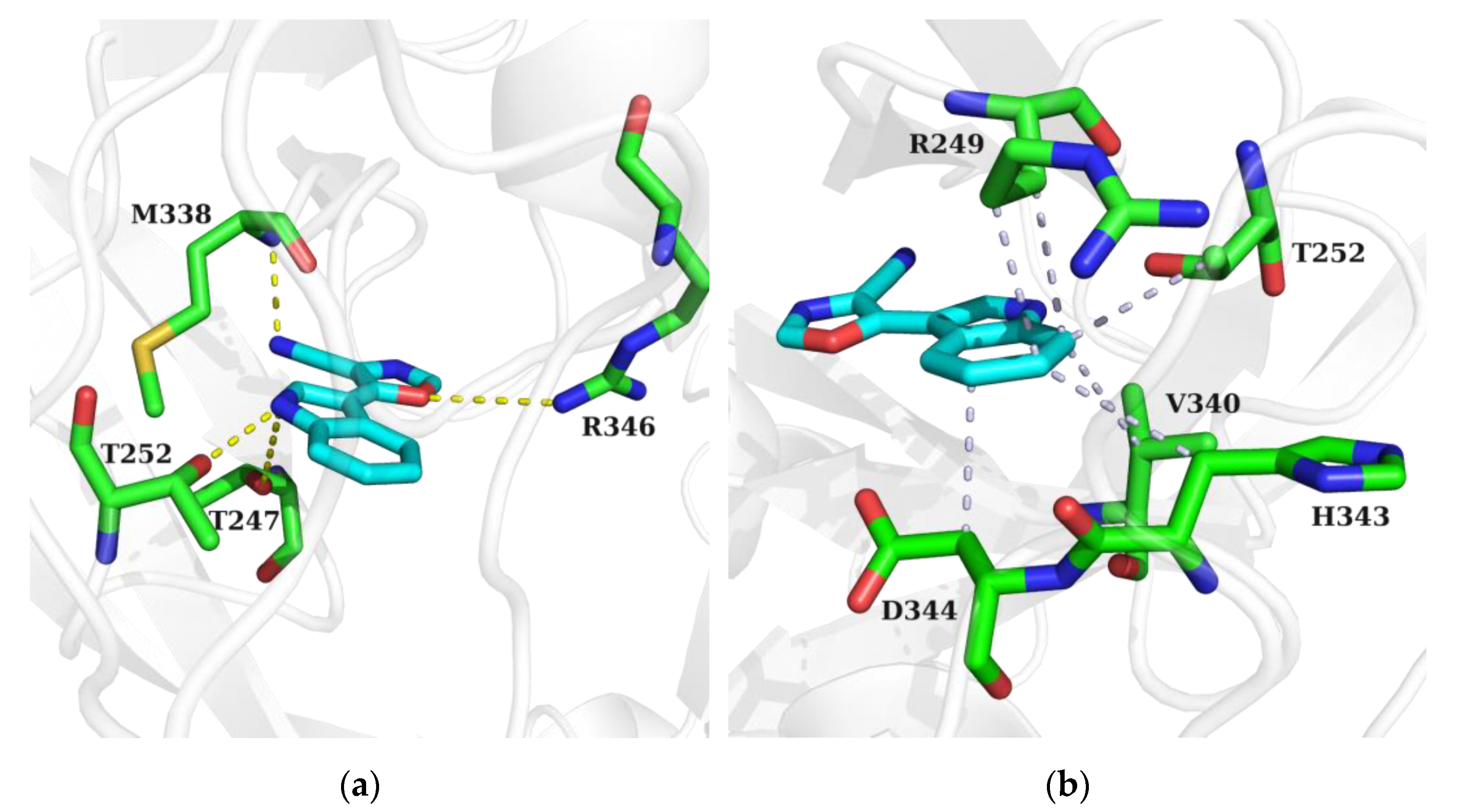 Marinedrugs 21 00103 g007