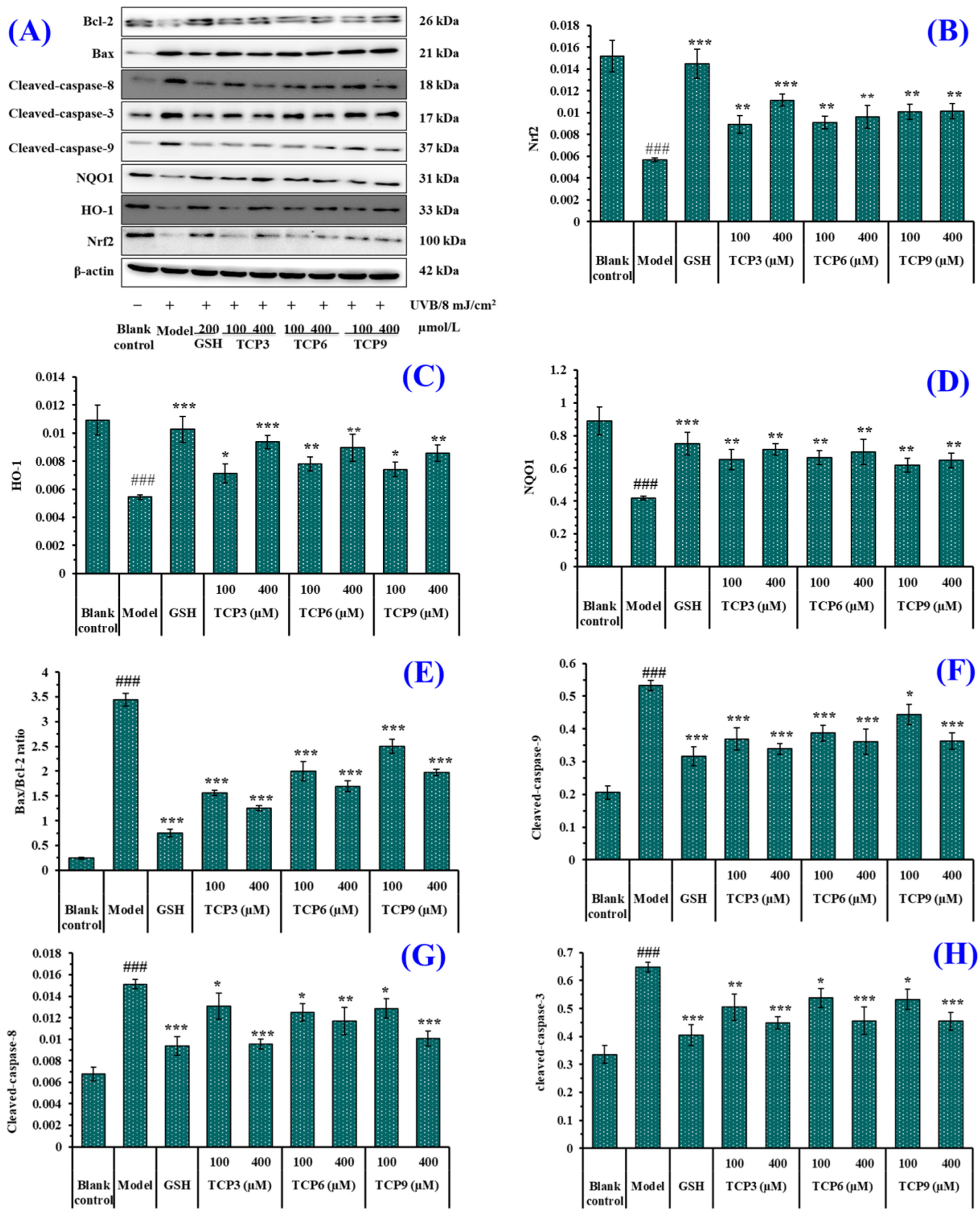 Marinedrugs 21 00105 g010