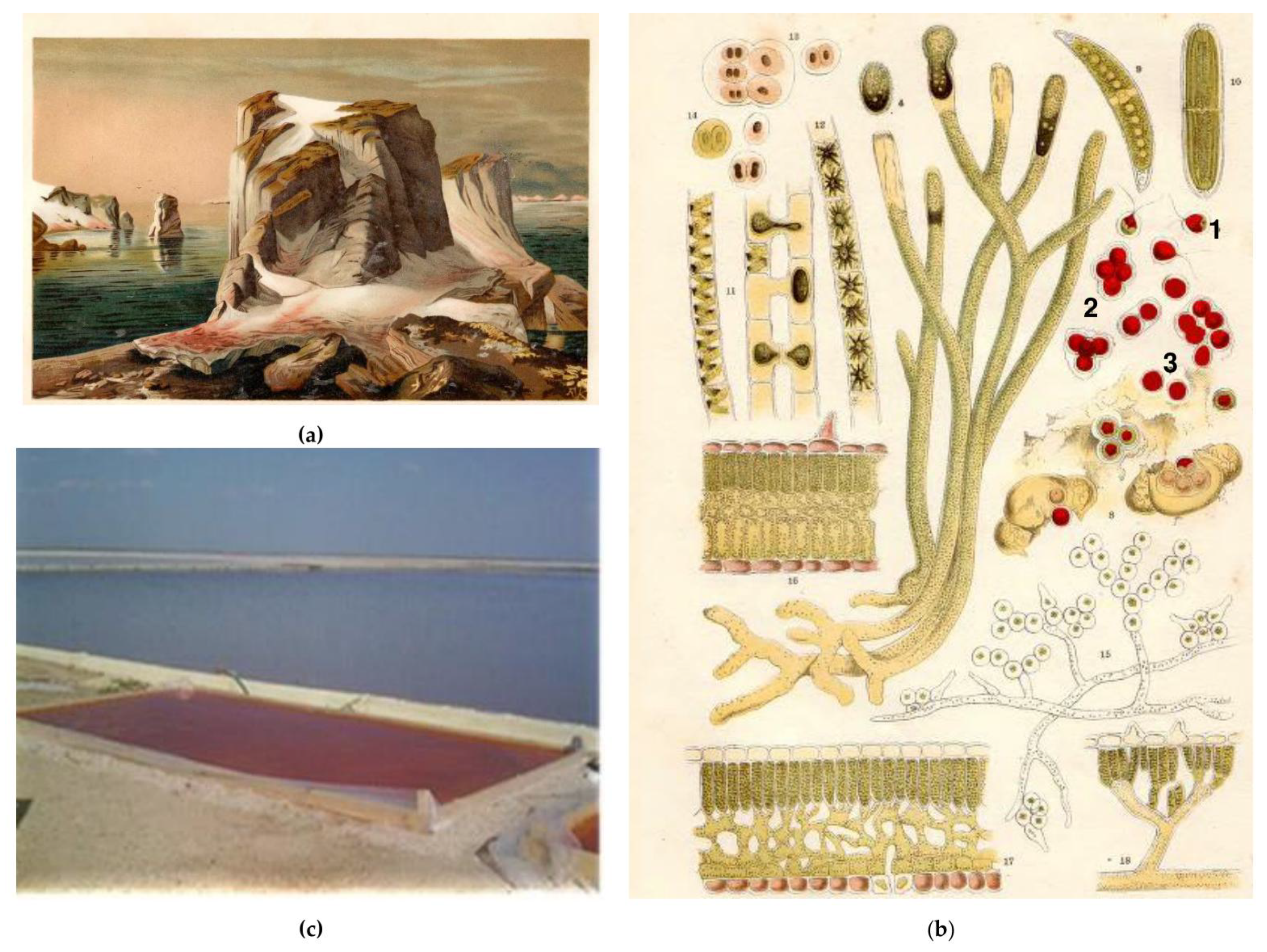 Marinedrugs 21 00108 g001