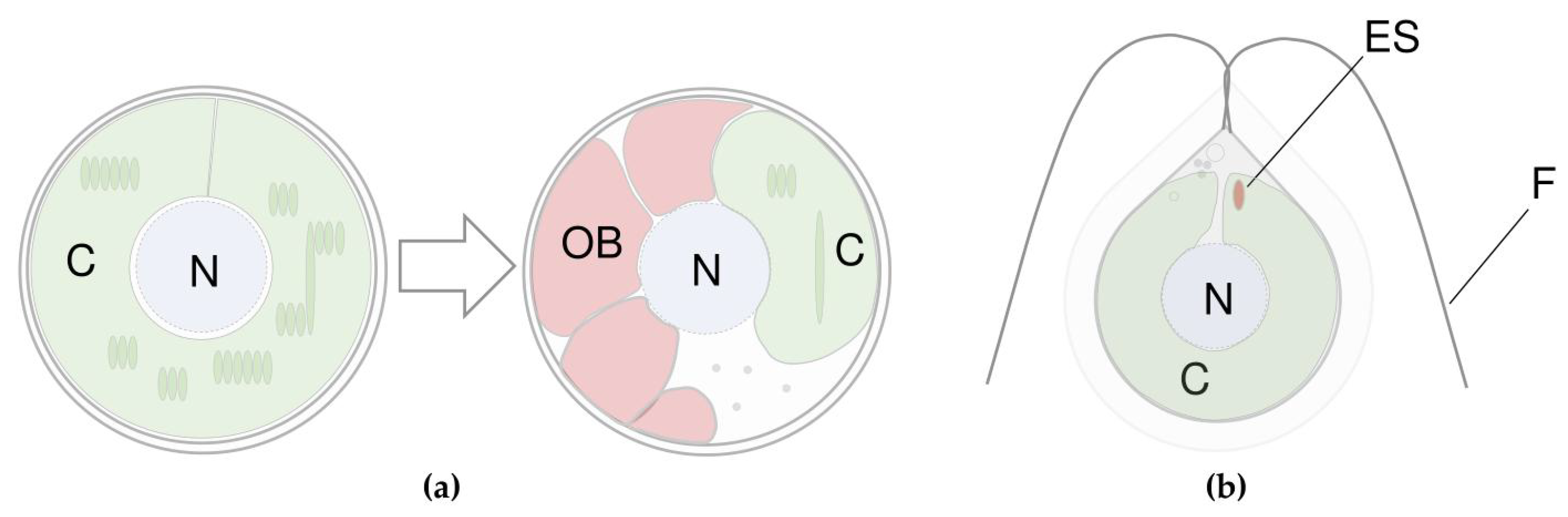 Marinedrugs 21 00108 g002