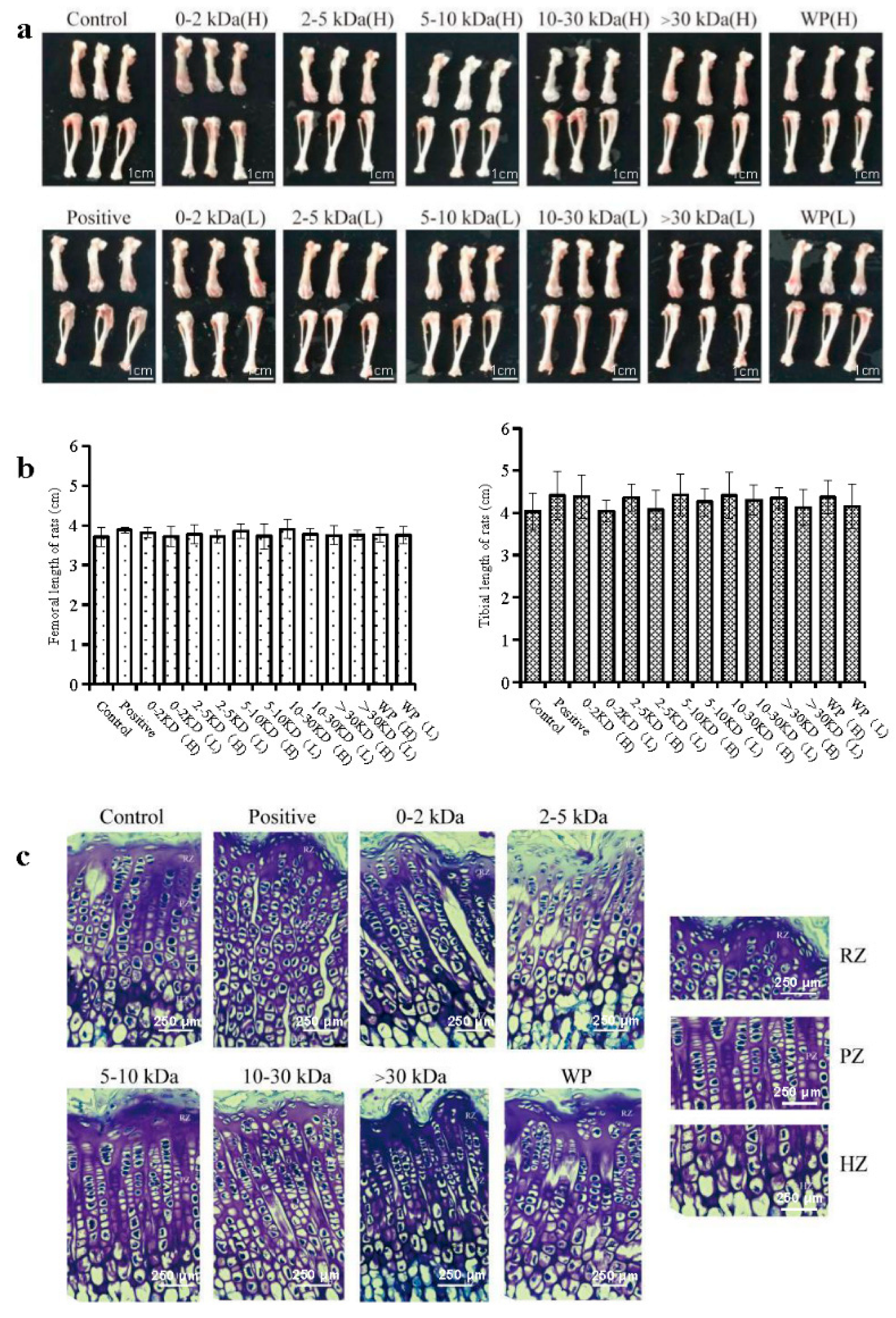 Marinedrugs 21 00111 g002