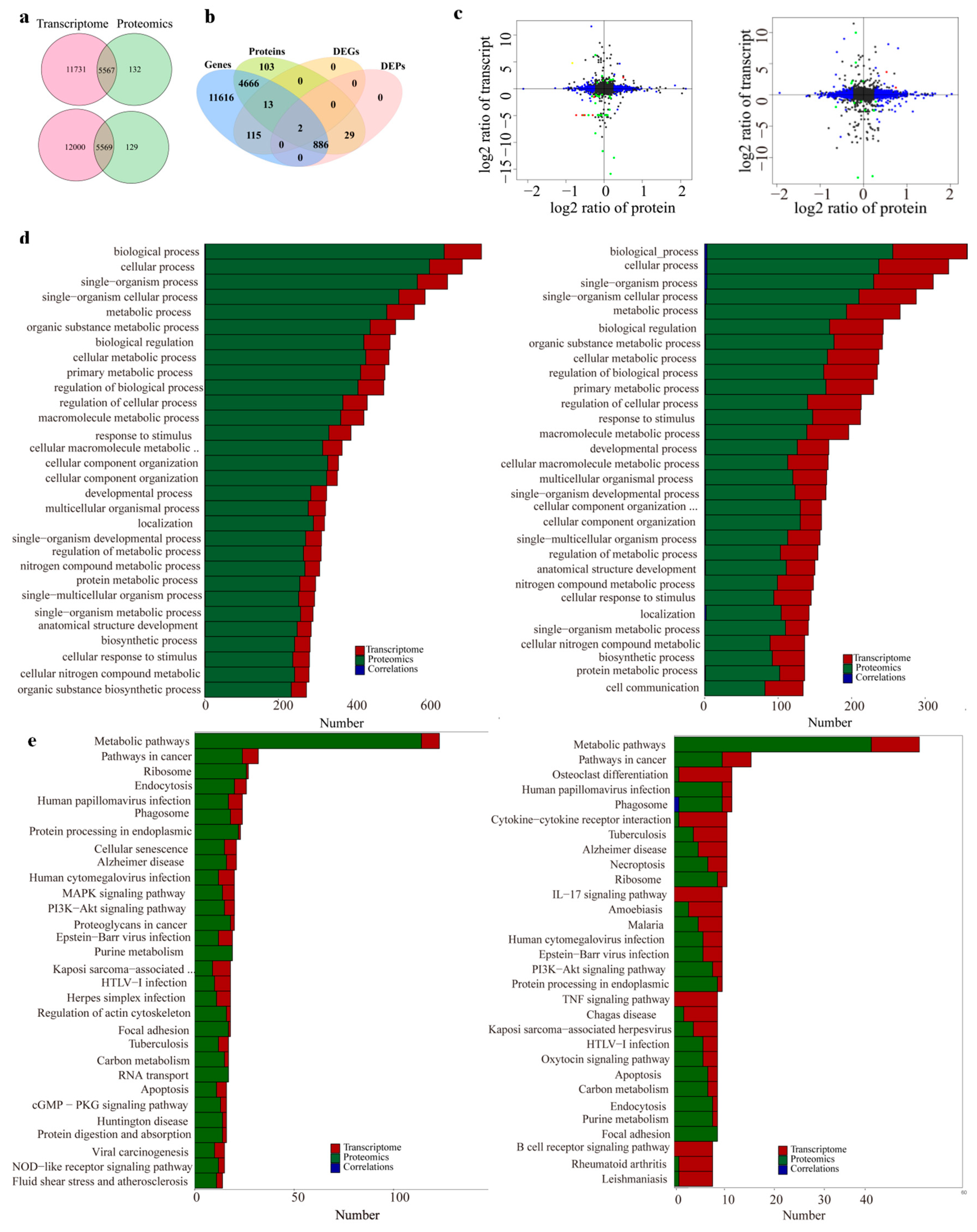 Marinedrugs 21 00111 g006