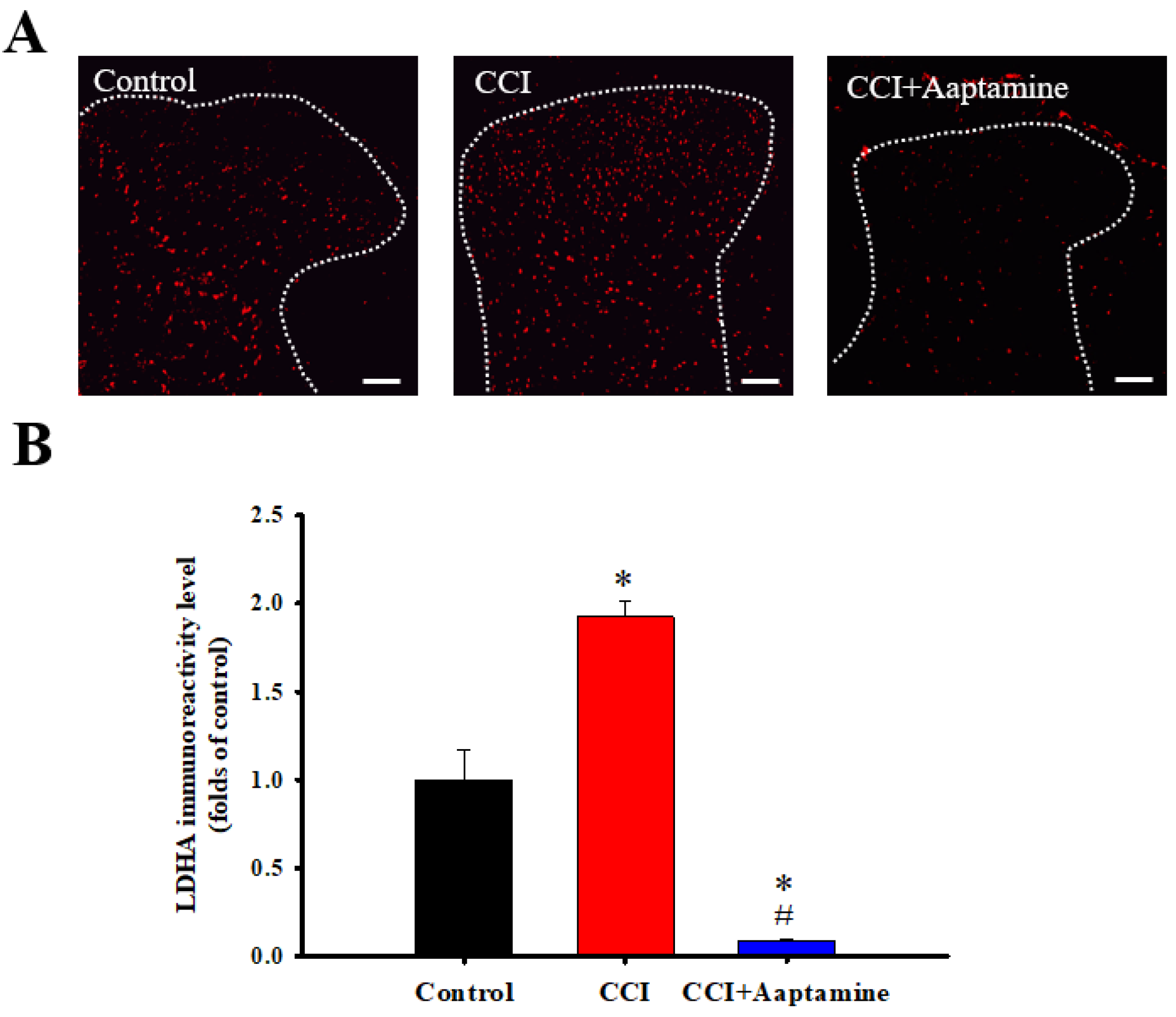 Marinedrugs 21 00113 g006
