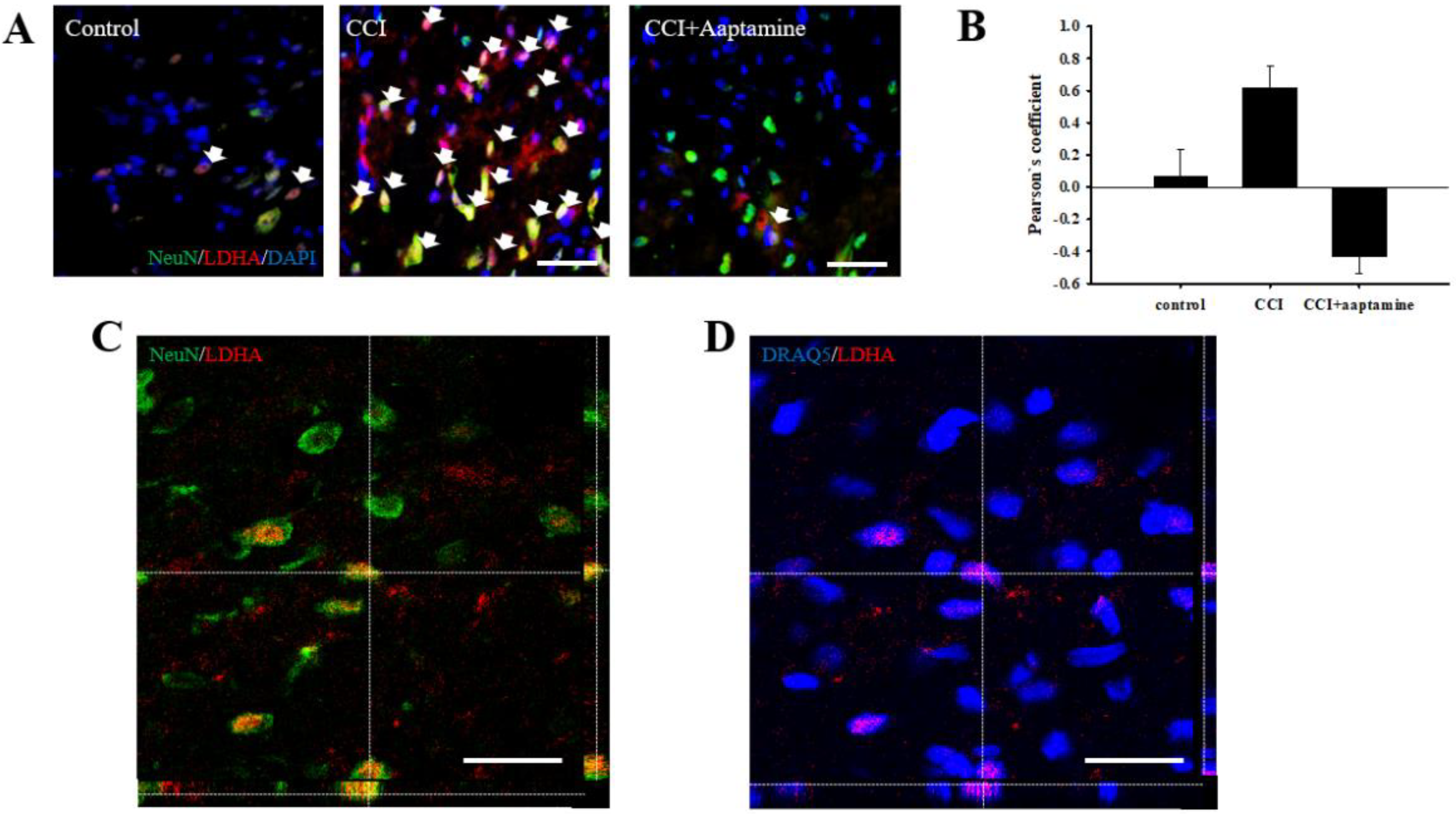 Marinedrugs 21 00113 g008