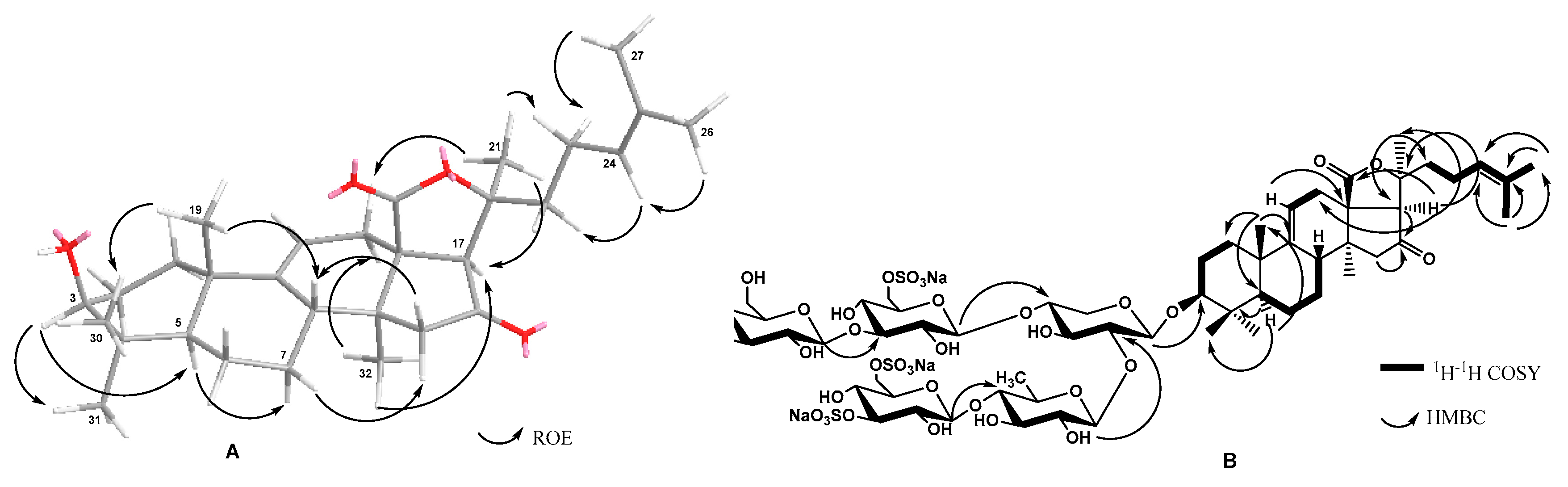 Marinedrugs 21 00114 g002