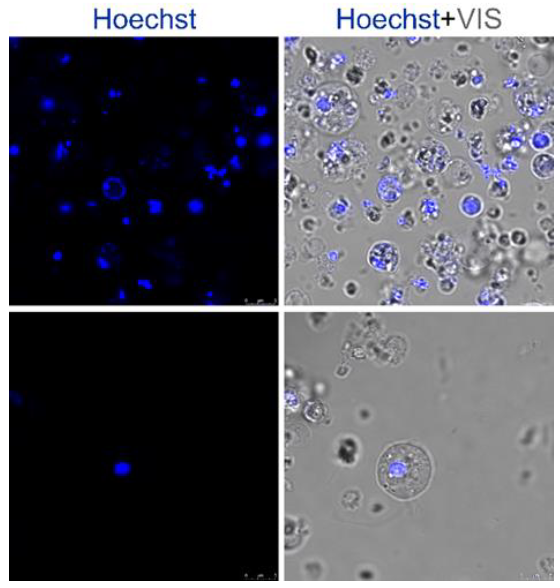 Marinedrugs 21 00119 g001