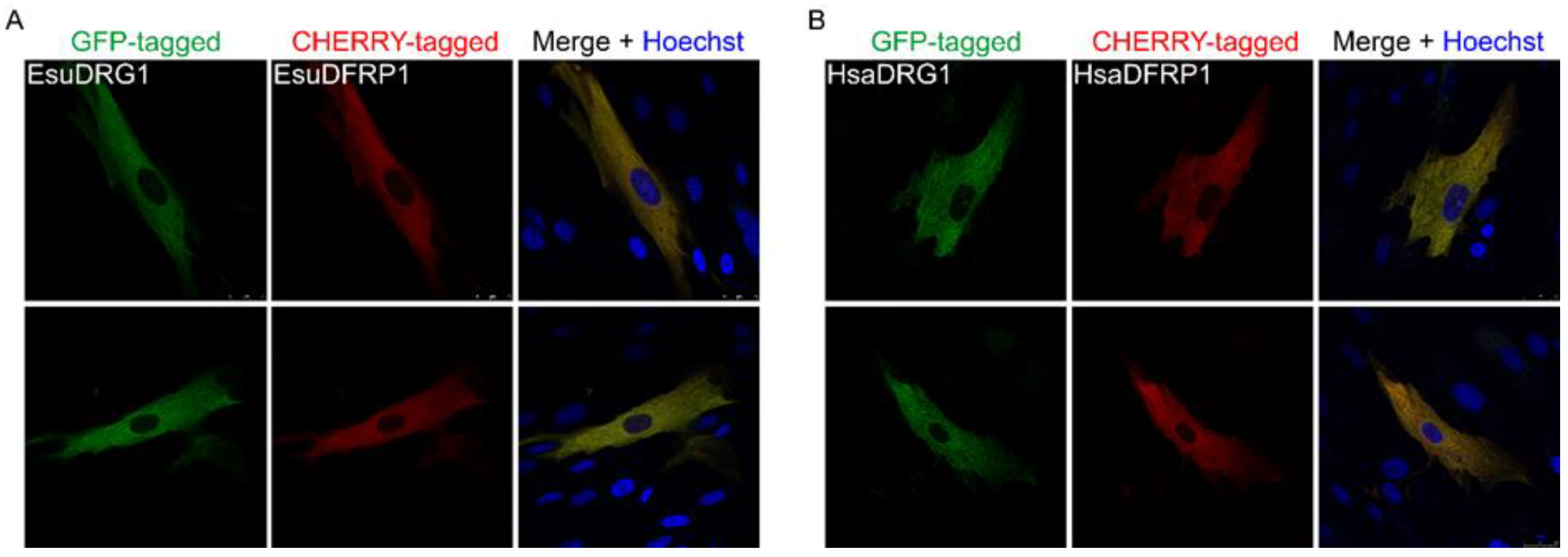 Marinedrugs 21 00119 g010